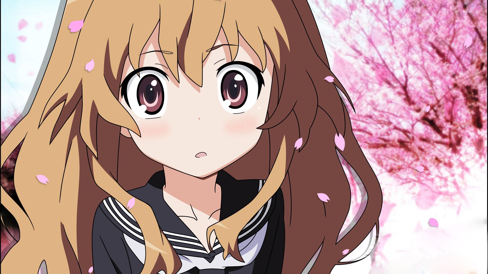 1920x1080 Taiga Aisaka! wallpaper wallpaper