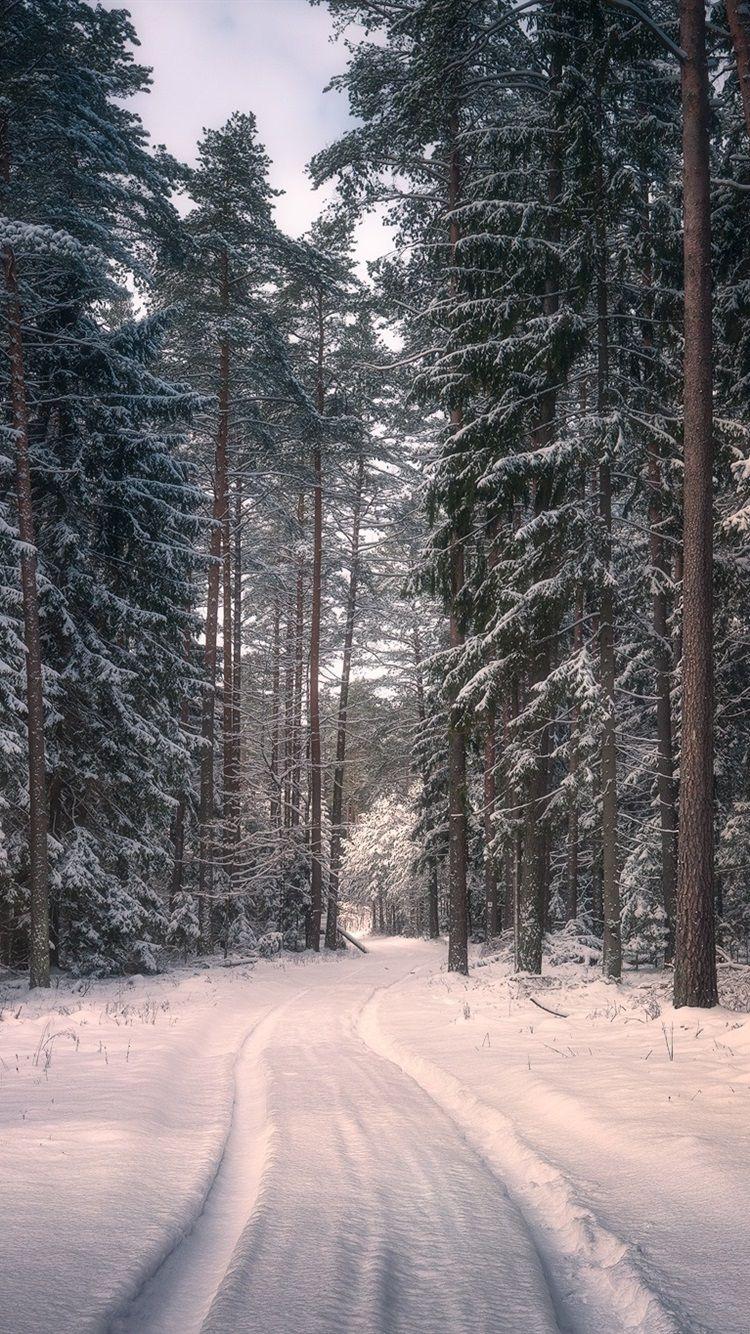 750x1334 Spring Poland Wallpaper