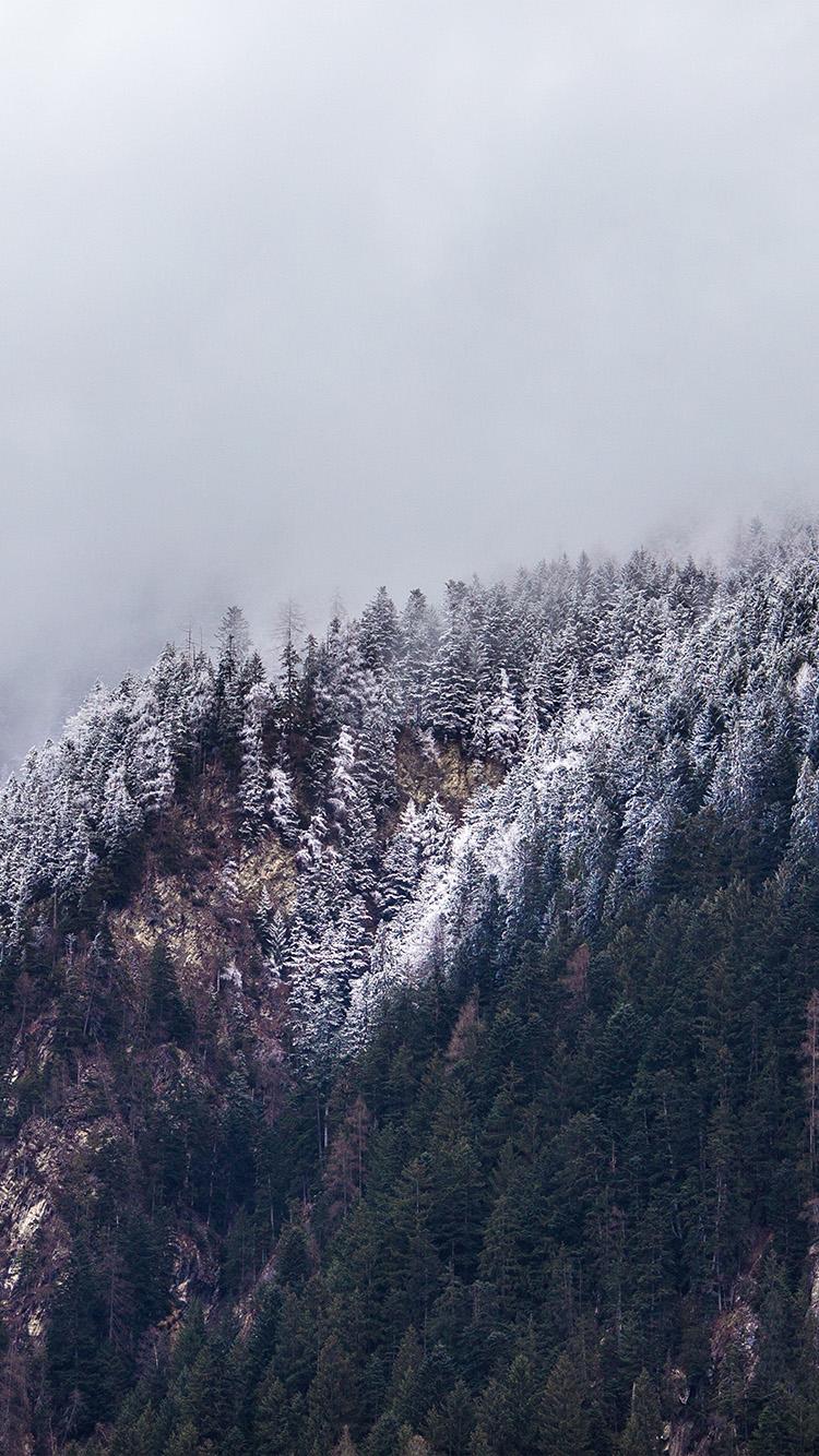 750x1334 Cold Mountain Winter Tree White Snow Nature Wallpaper