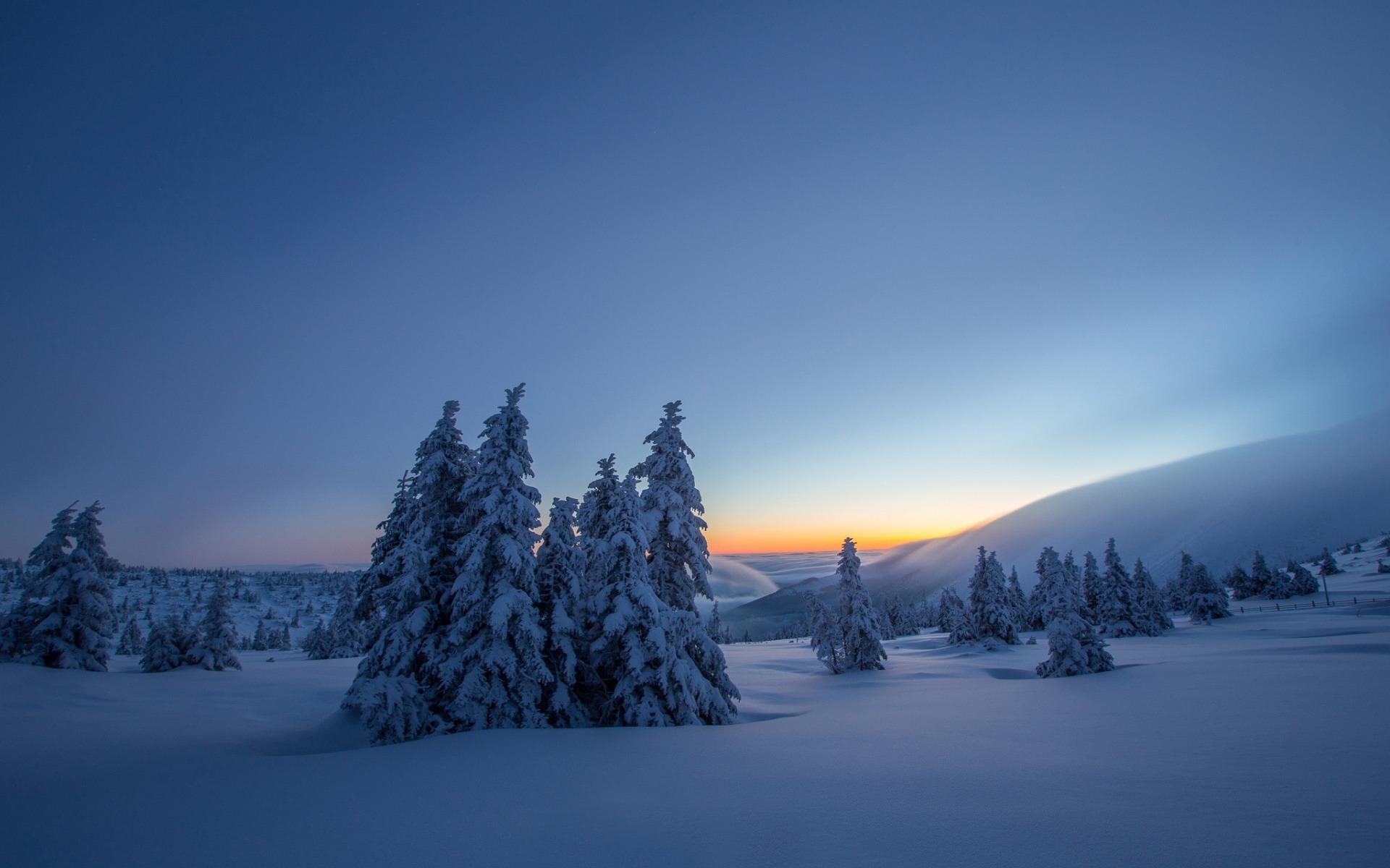 1920x1200 Download wallpaper winter, mountain landscape, snow, winter landscape, Poland, Karkonosze Mountains, Karkonosze National Park for desktop with resolution 1920x1200. High Quality HD picture wallpaper