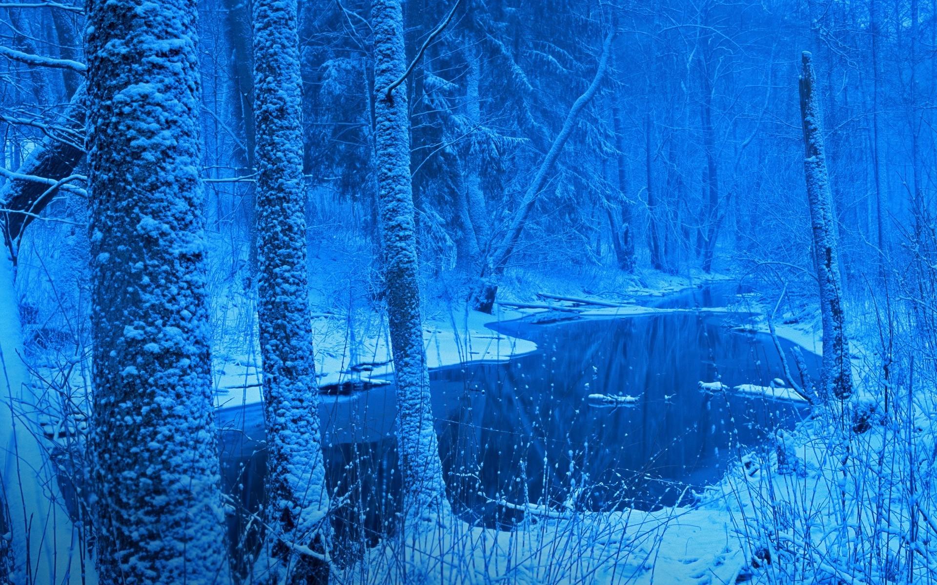 1920x1200 poland winter landscape wallpaper