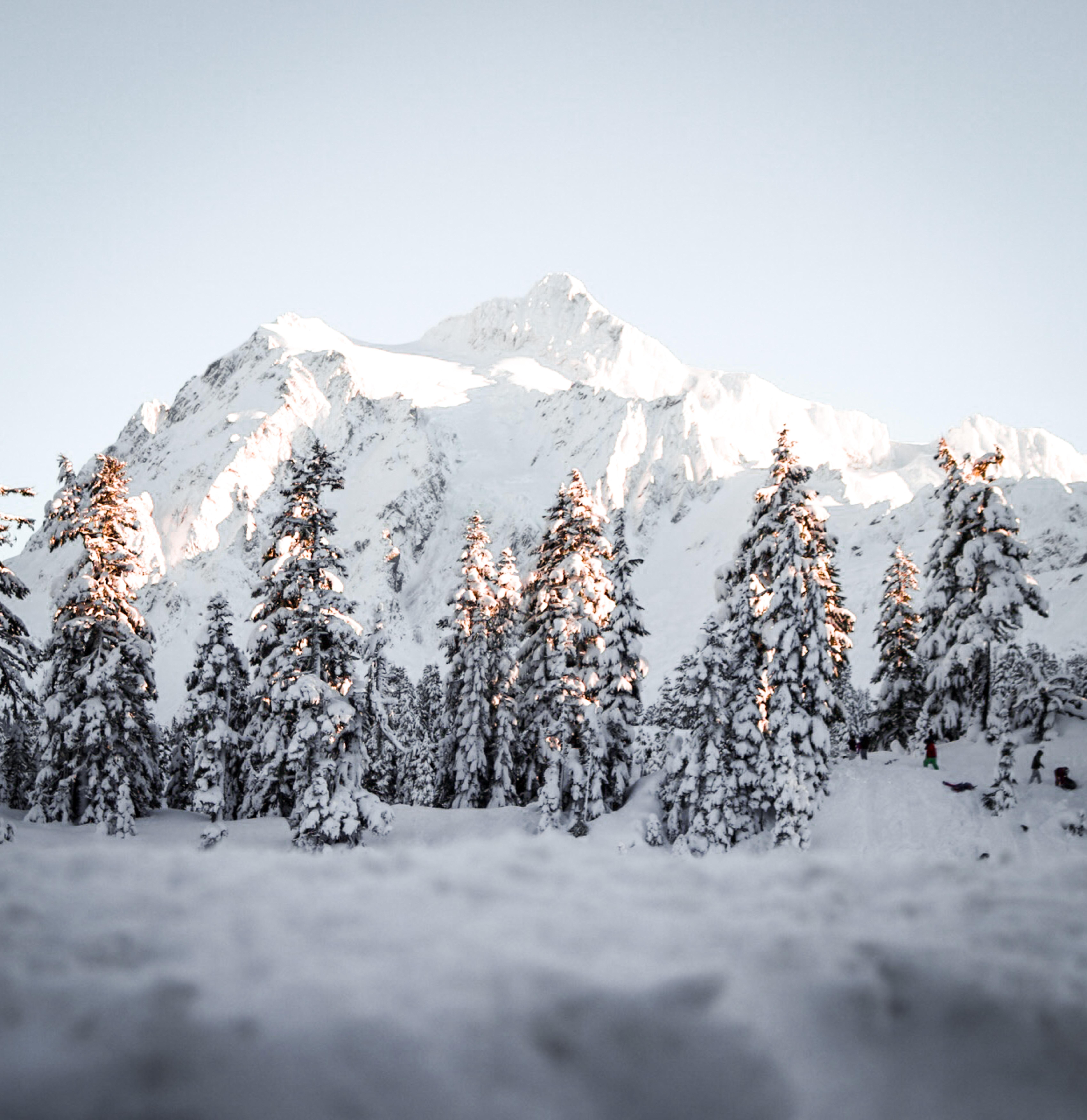 6794x7000 6794x7000 #hd wallpaper, #forest, #mountain, #frozen, #background, #iphone wallpaper, #hd background, #Creative Commons image, #cold, #christmas, # tree, #wallpaper, #snow, #iphone background, #winter. Mocah HD Wallpaper