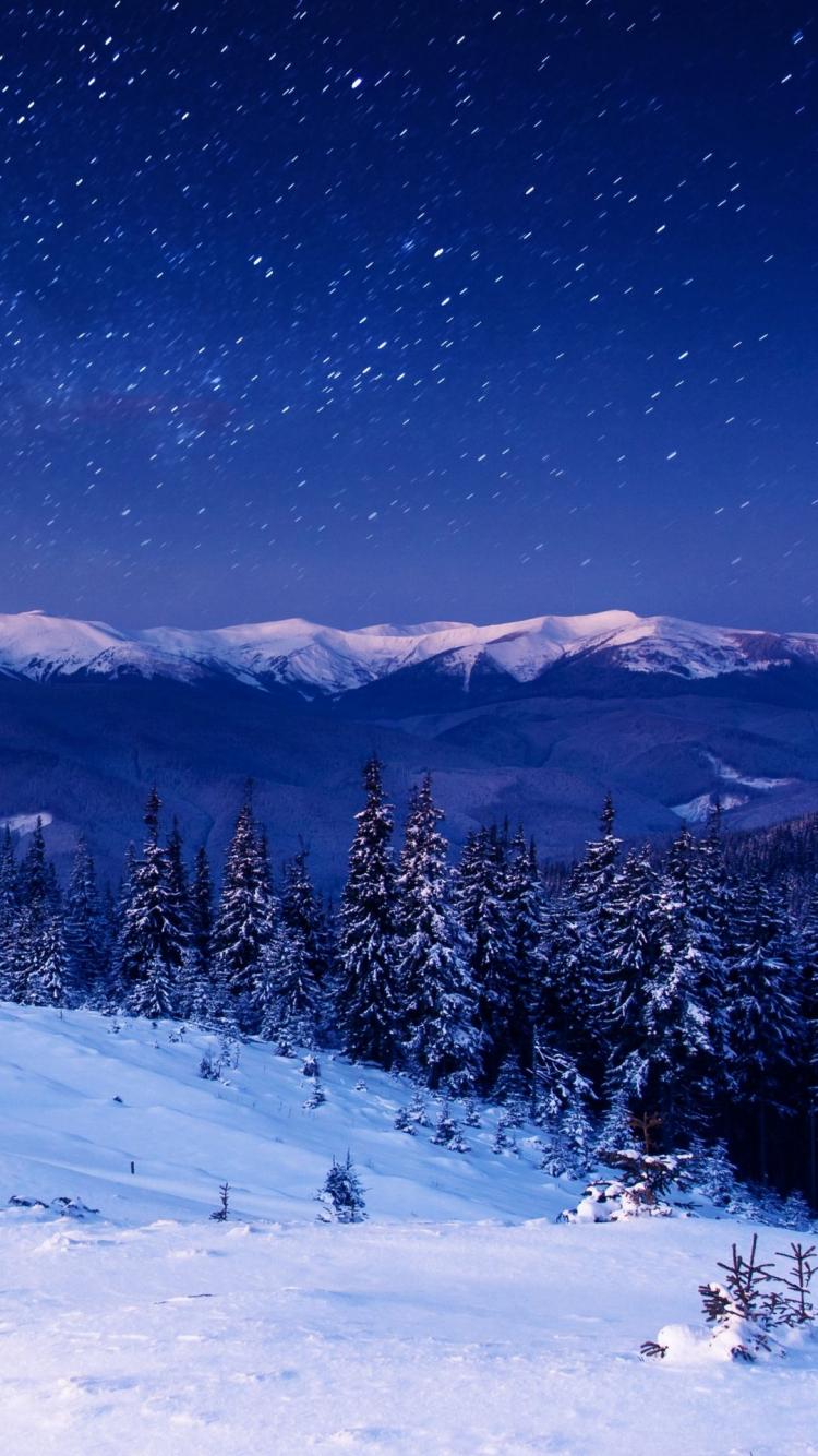 750x1334 Free download Star Forest Night Home Mountains Trees iPhone 6 plus wallpaper [1080x1920] for your Desktop, Mobile & Tablet. Explore Winter Forest Wallpaper Night. Winter Forest Wallpaper Night, Night