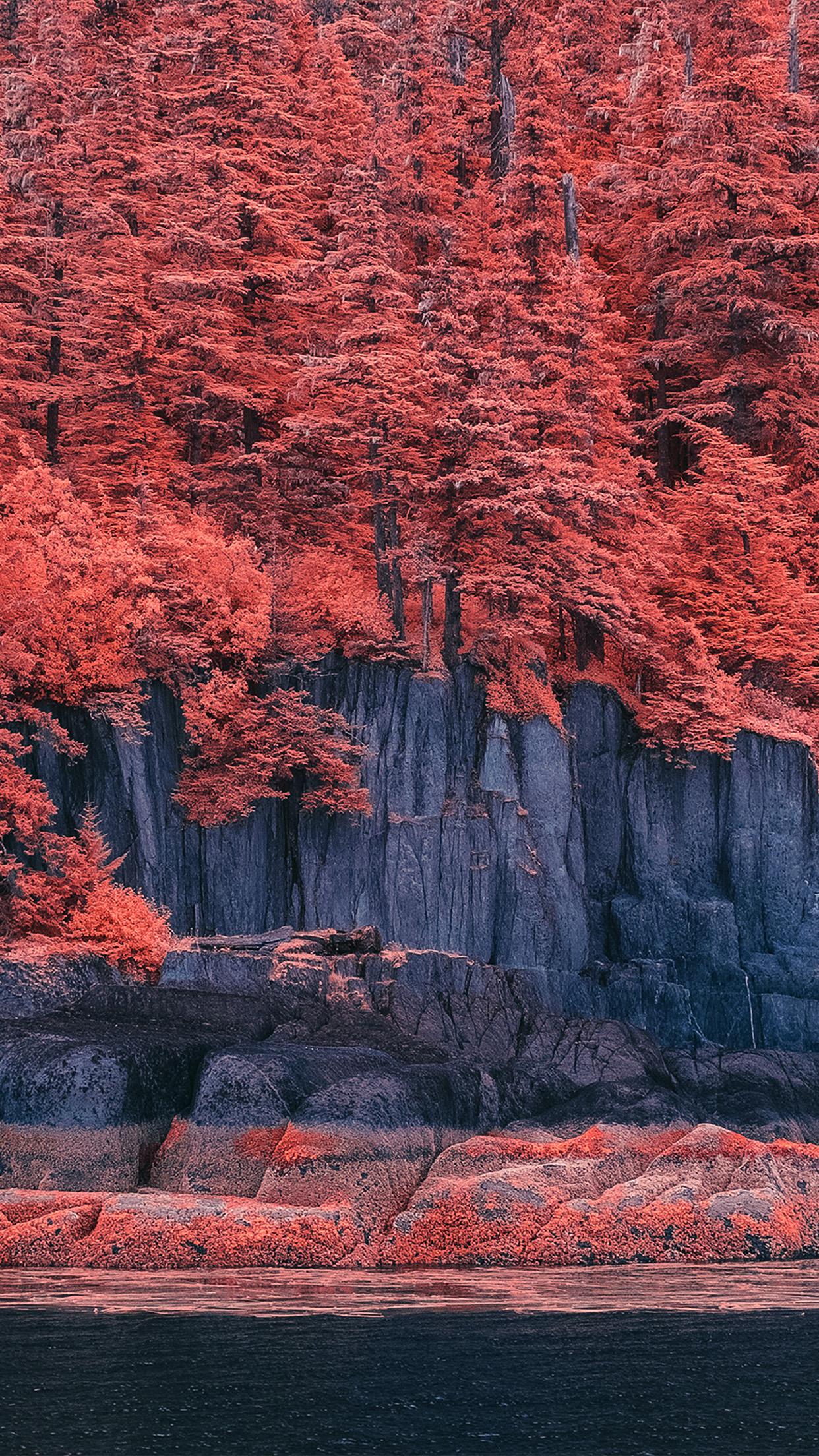 1242x2208 mountain red tree nature art illustration