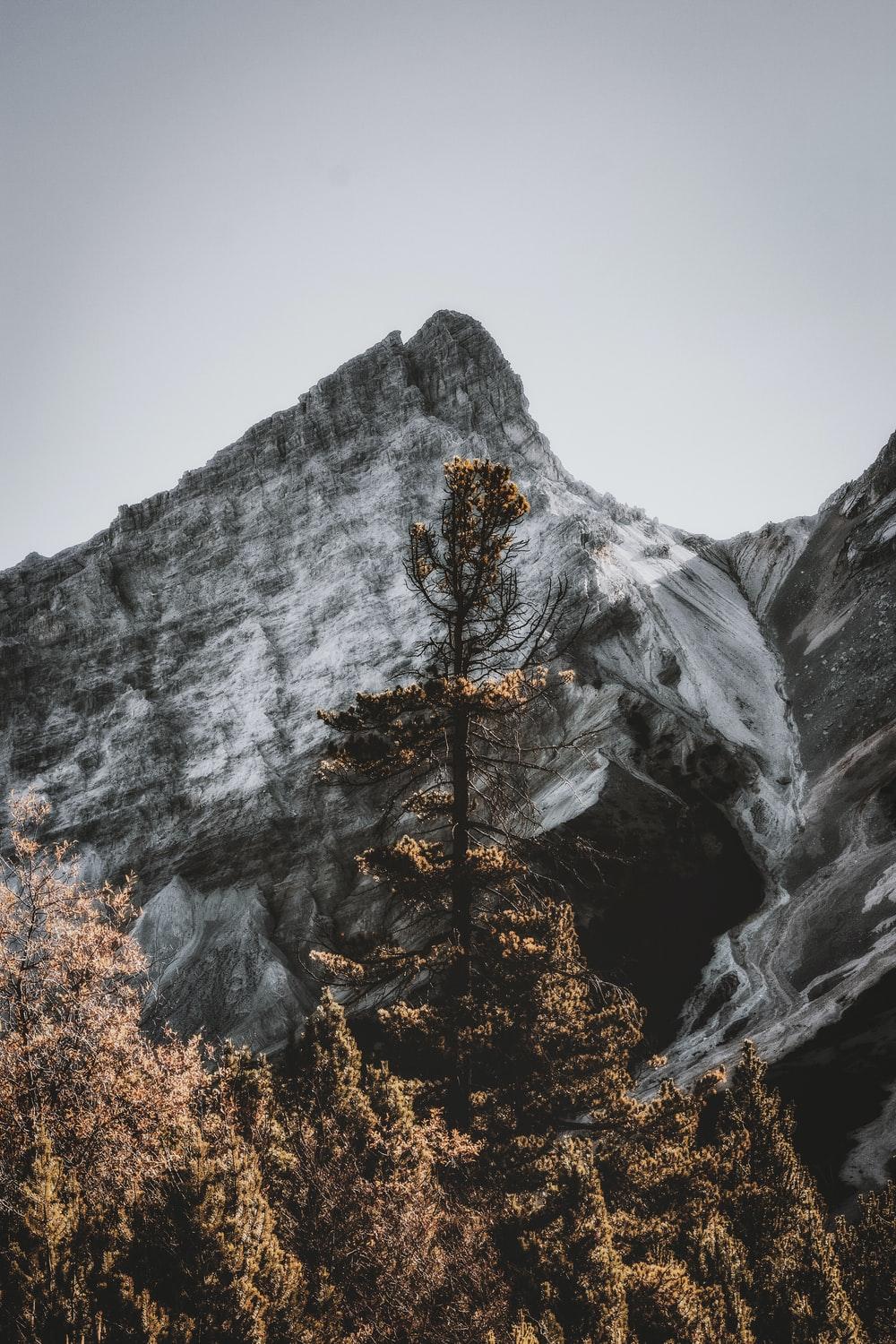 1000x1500 iPhone Wallpaper: Free HD Download [HQ]