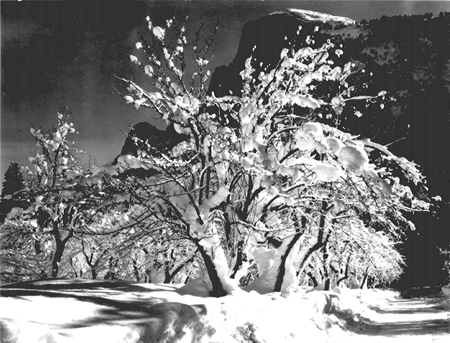 1717x1309 Ansel Adams Photographs of Great American National Parks Are Now Online