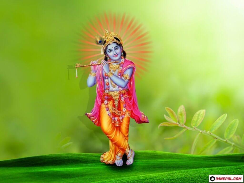 1024x768 Magnificent Baby Krishna Pics On Happy Janmashtami 2020