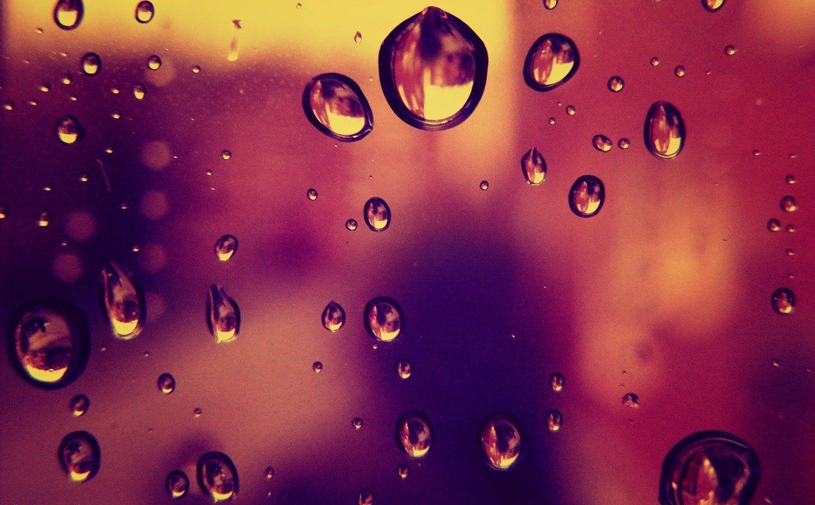 1677x1039 drops rain glass window bright flowers photo image wallpaper HD