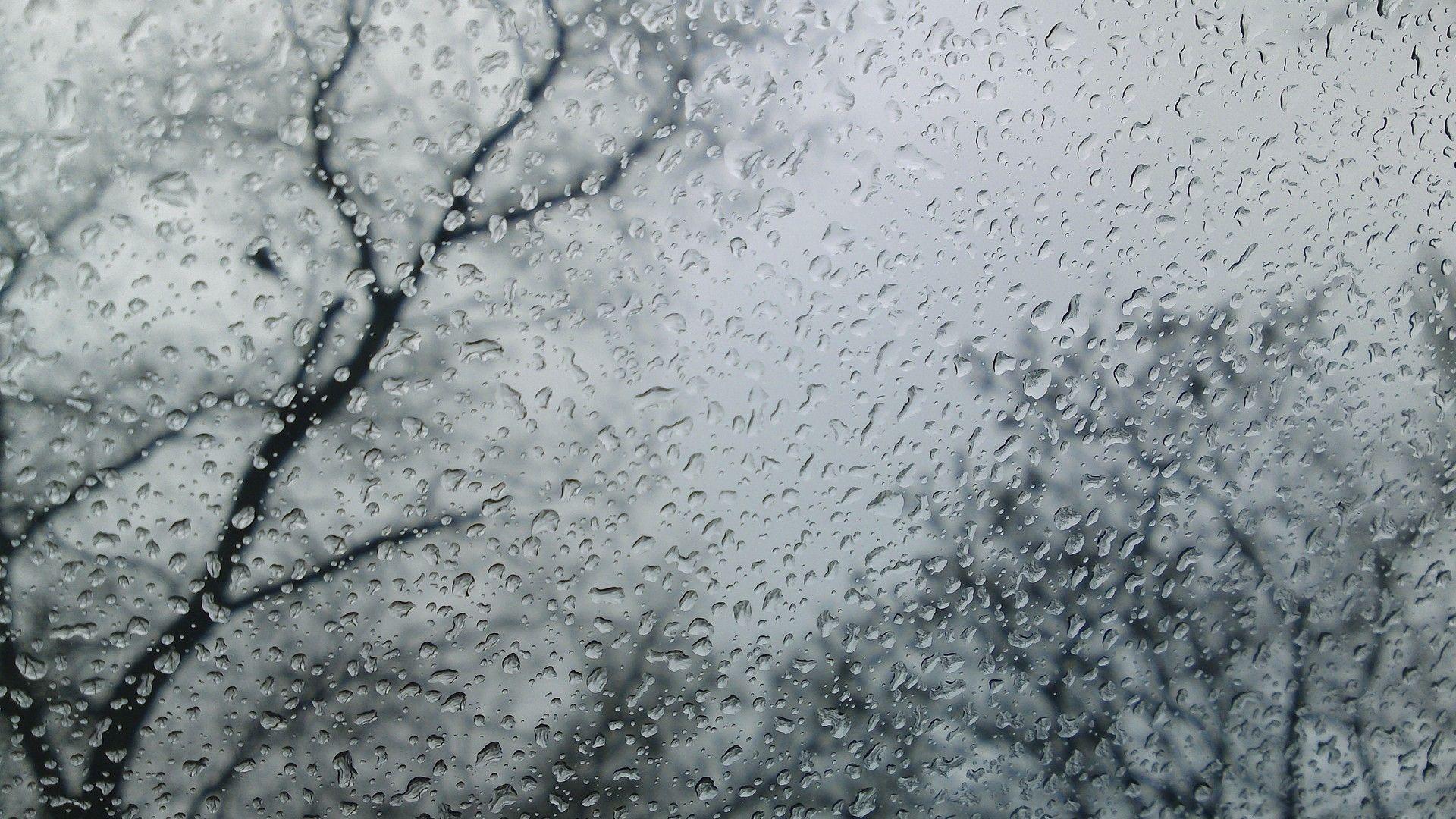 Animated Rain Wallpapers - Top Free Animated Rain Backgrounds -  WallpaperAccess