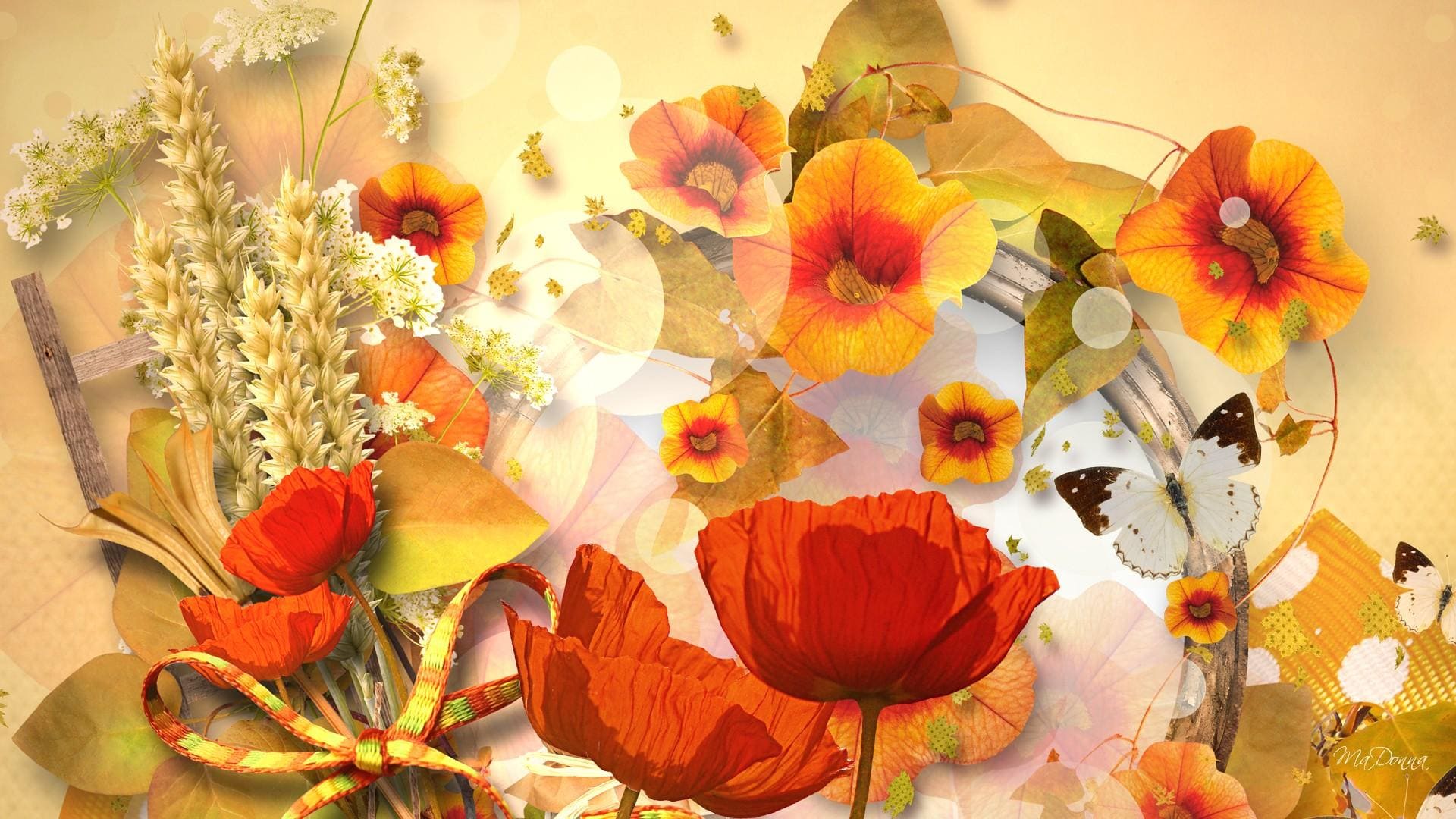 1920x1080 Fall Flowers Wallpaper Free Fall Flowers Background