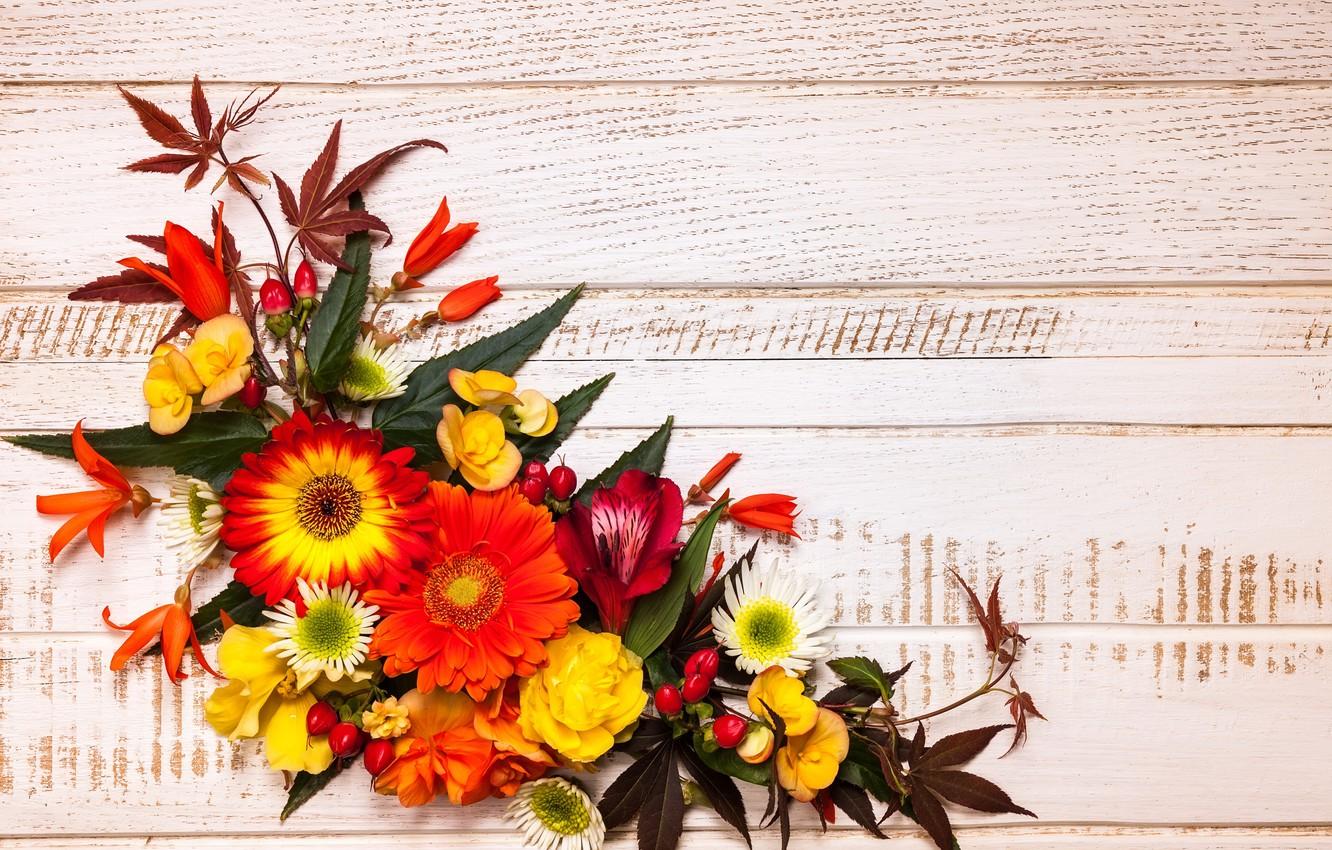 1332x850 Wallpaper autumn, leaves, flowers, wood, flowers, autumn, leaves, composition, frame, floral image for desktop, section цветы