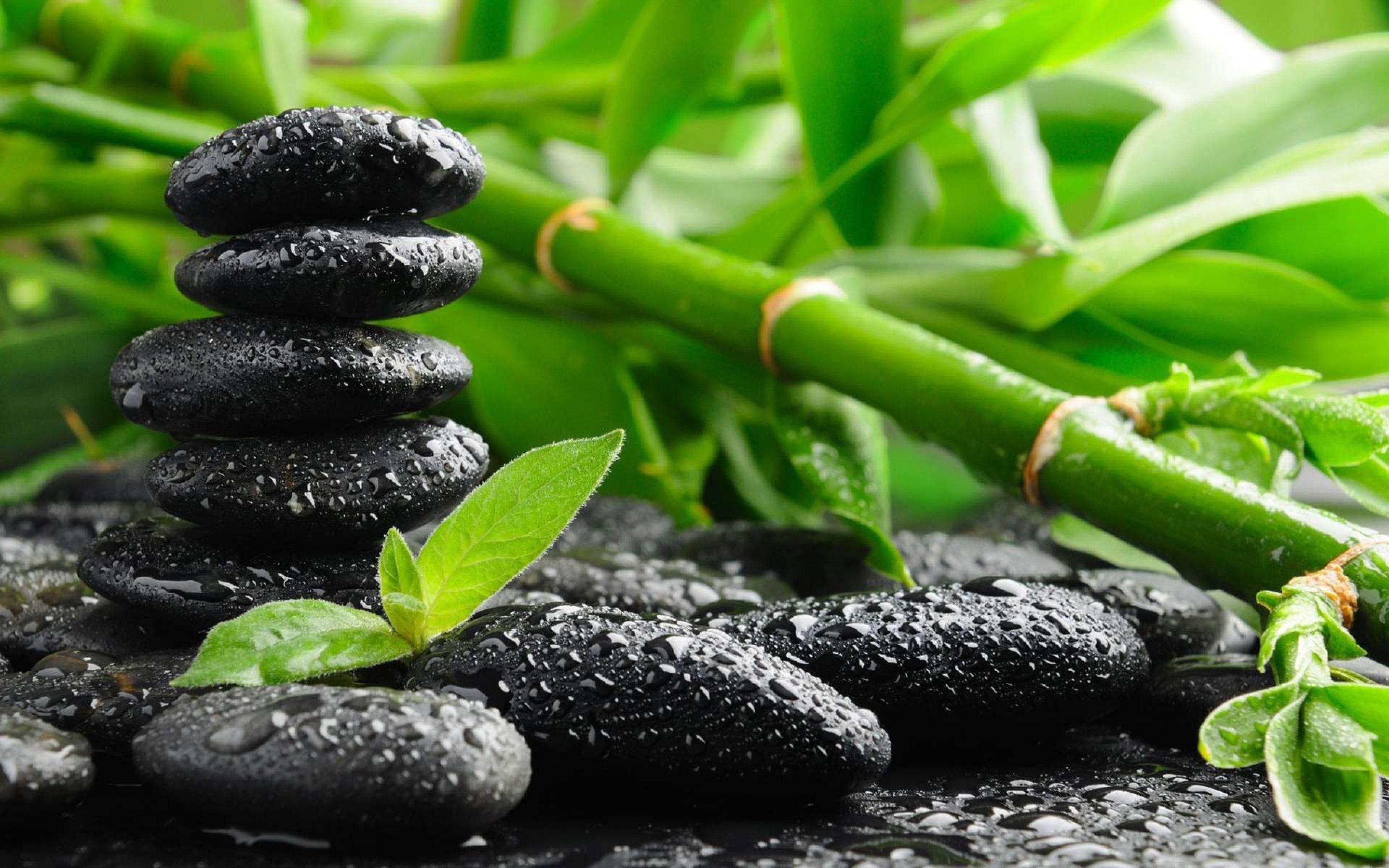 2880x1800 Zen Desktop Wallpaper Labzada Wallpaper