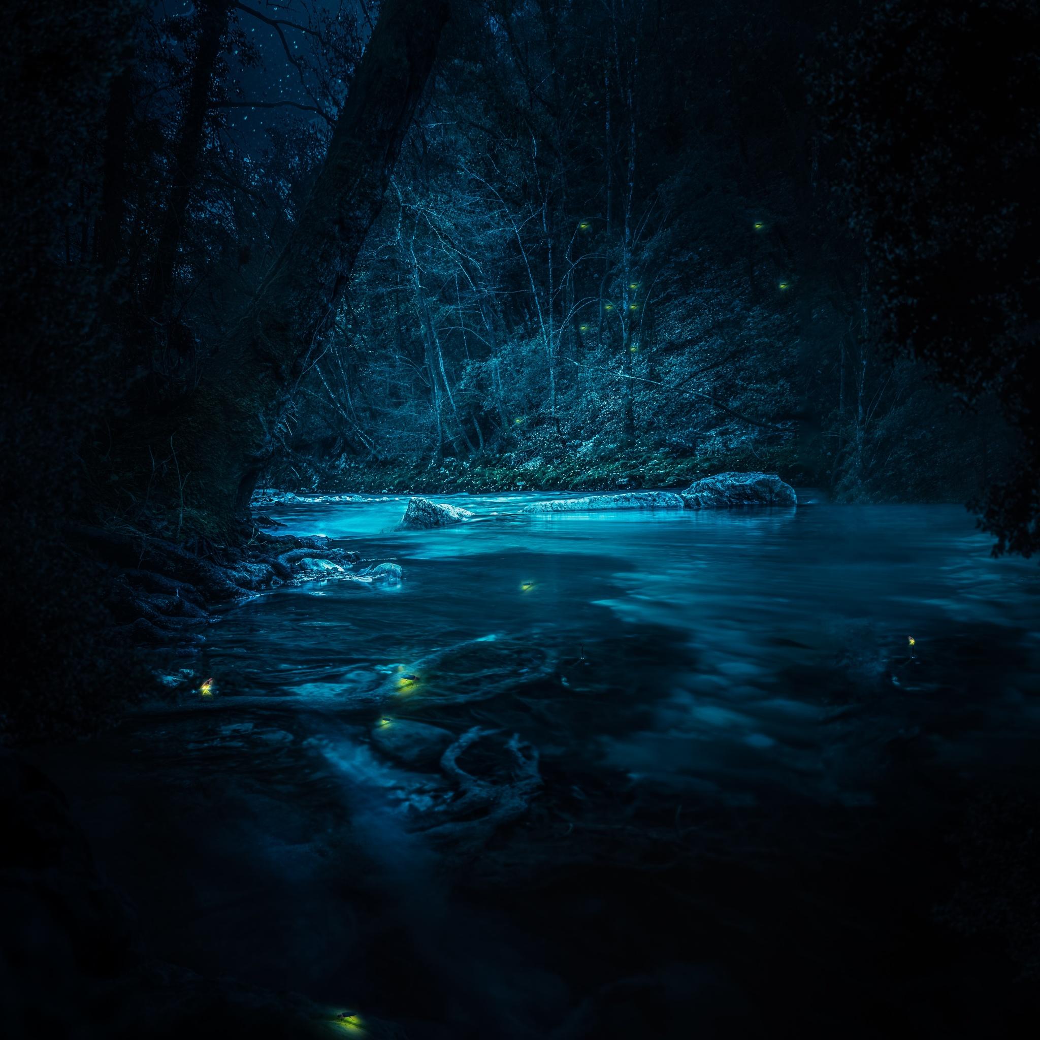 2048x2048 Forest Wallpaper 4K, River, Night, Dark, Magical, Crescent Moon, Blue, Nature