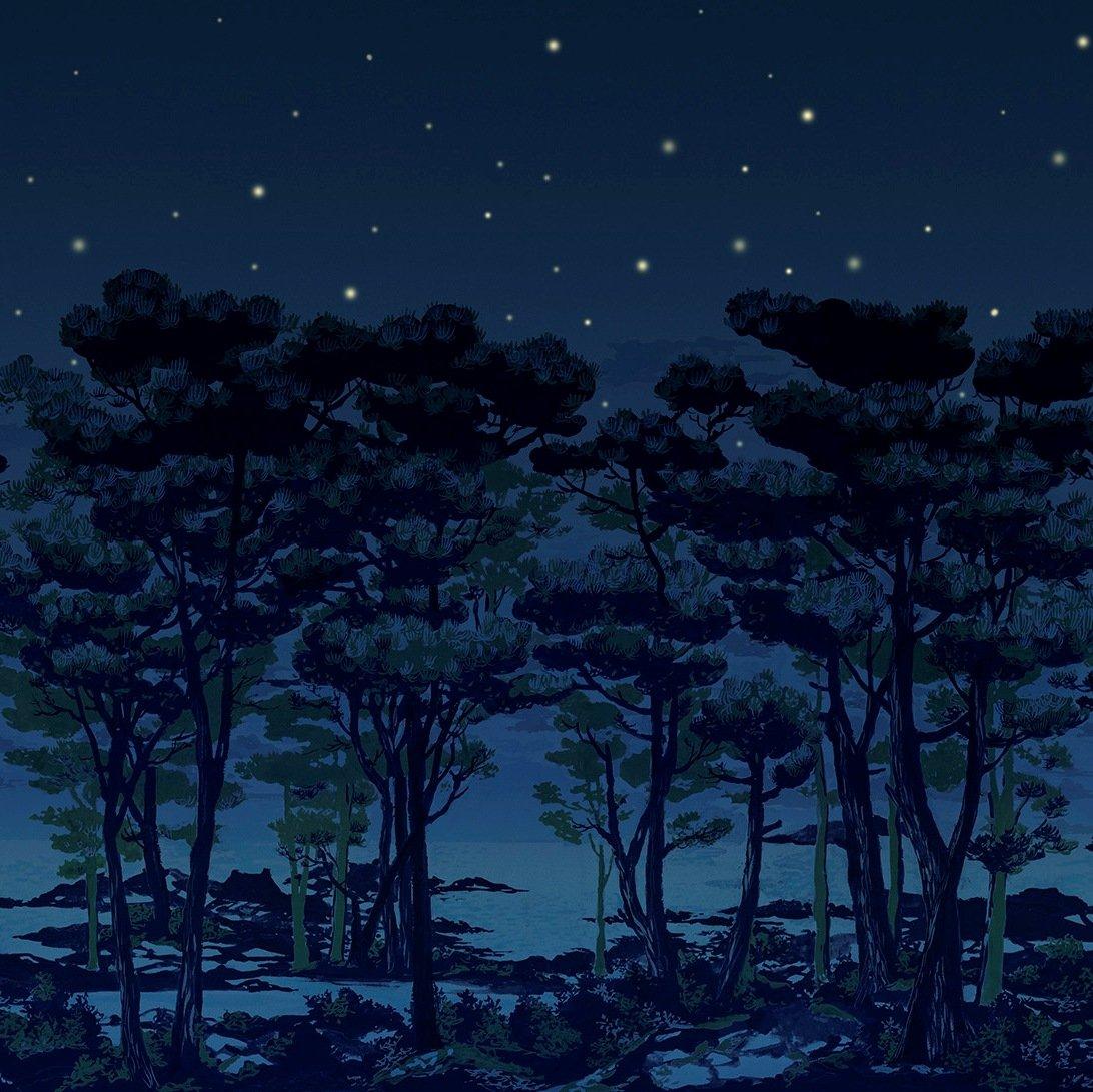 1092x1091 The Magical Forest in the Night Mural Wallpaper (SqM)