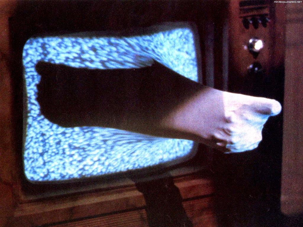 1024x768 Videodrome Wallpaper 2. realreality Productions, Boston MA