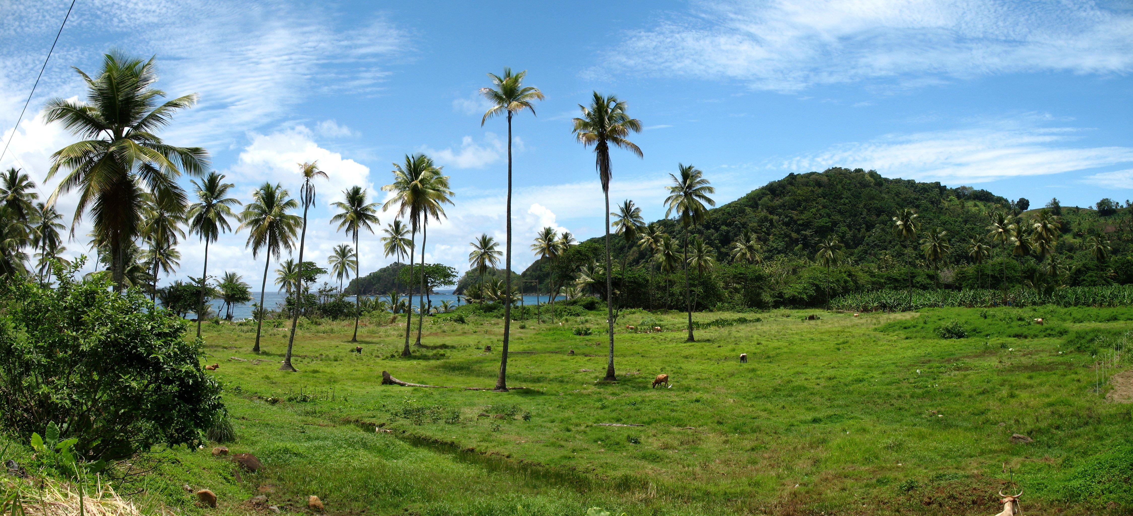 4498x2050 Sierra Leone, uniqueness at it's finest.'s Africa Blog