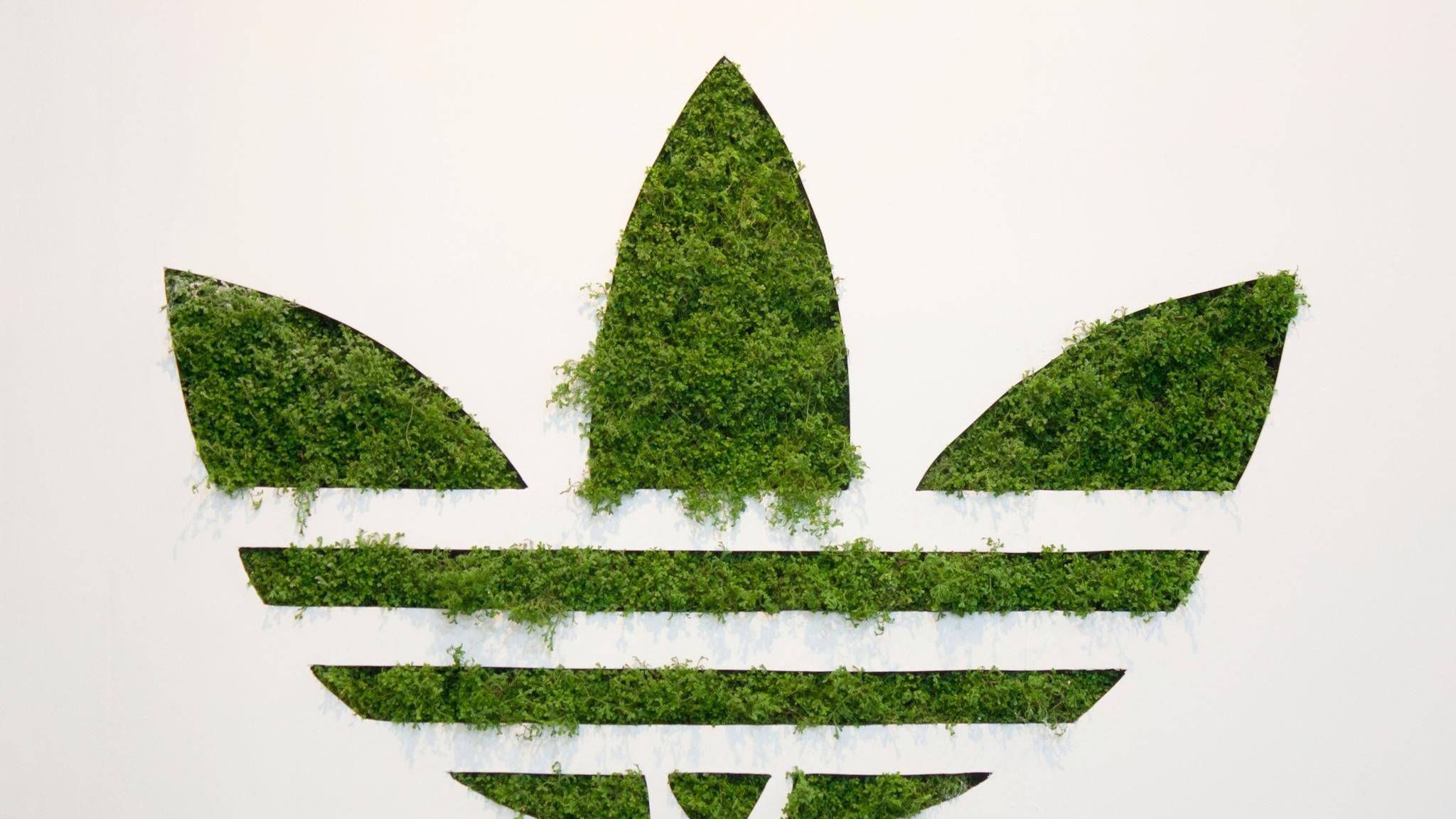 2048x1152 Adidas Grass Logo 2048x1152 Resolution HD 4k Wallpaper, Image, Background, Photo and Picture