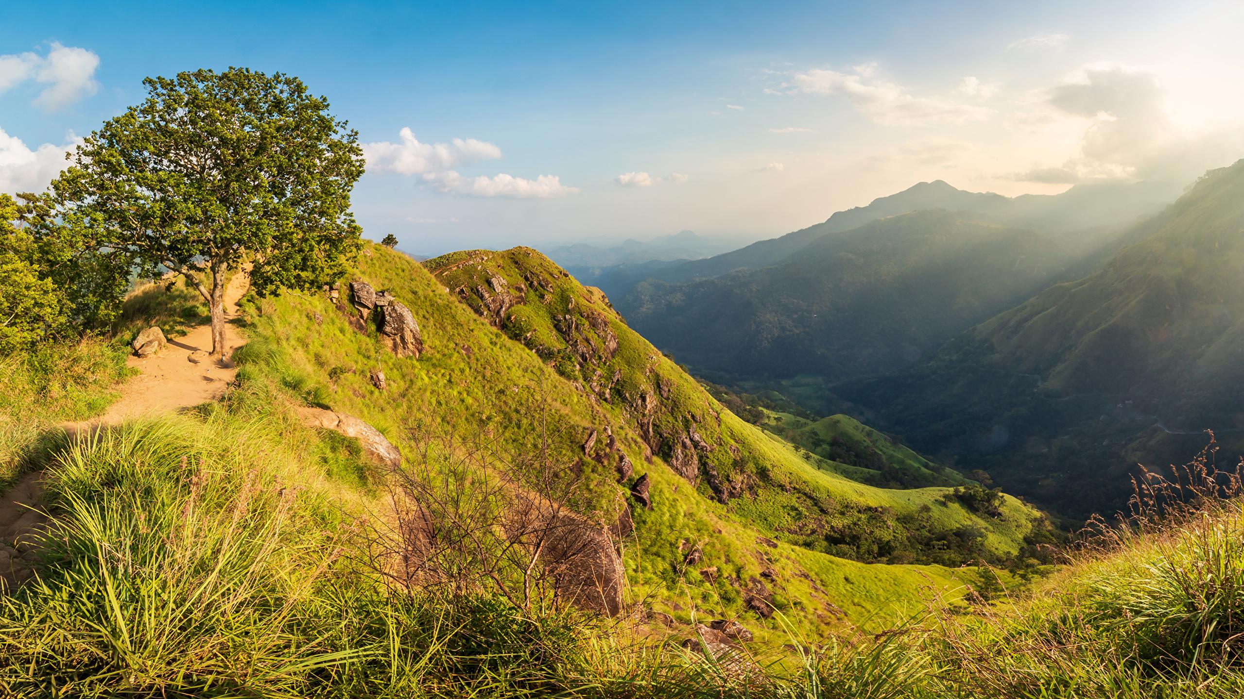 2560x1440 Wallpaper Sri Lanka Nature mountain Trees 2560x1440
