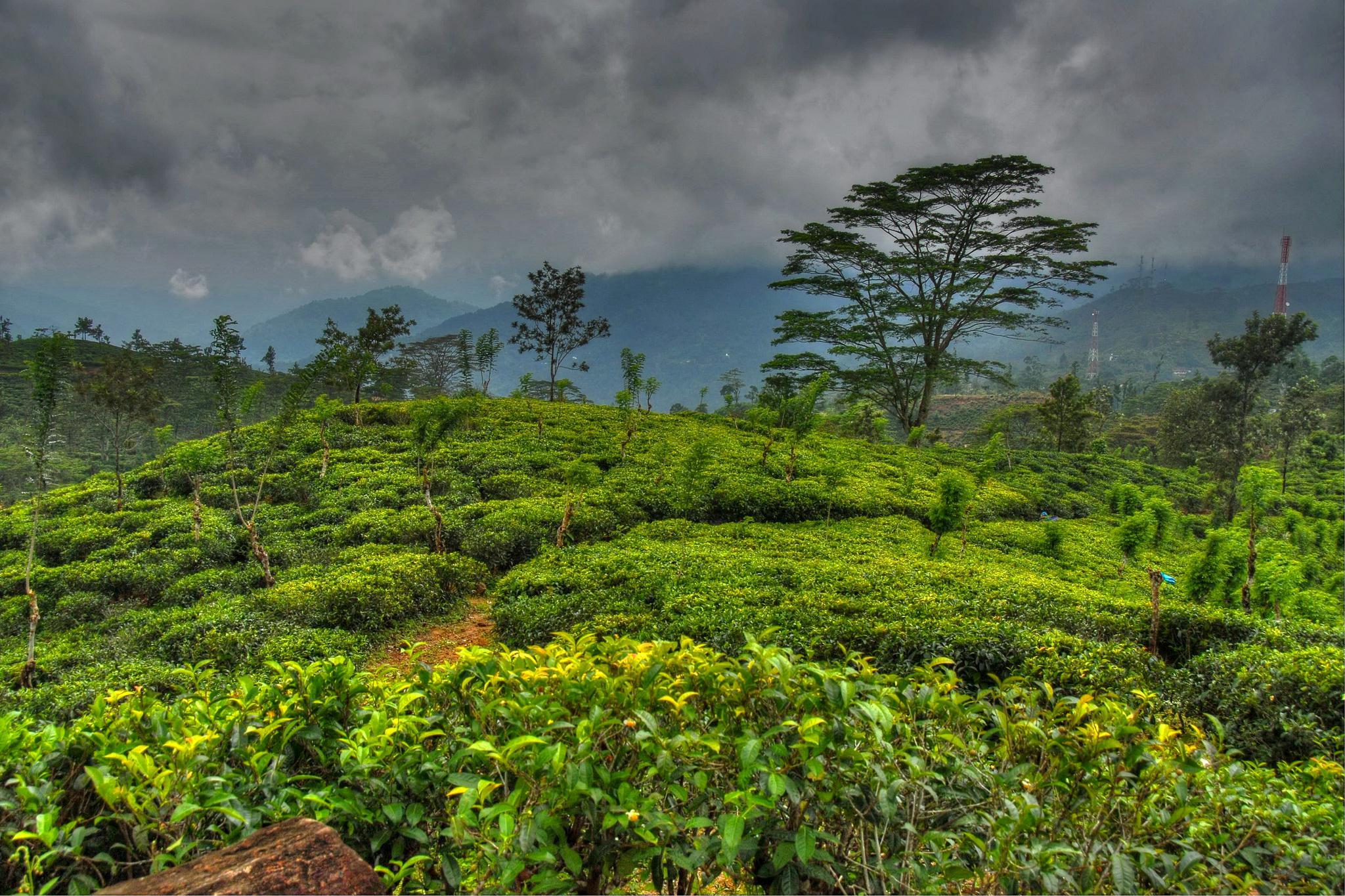 2048x1365 Sri Lanka Wallpaper