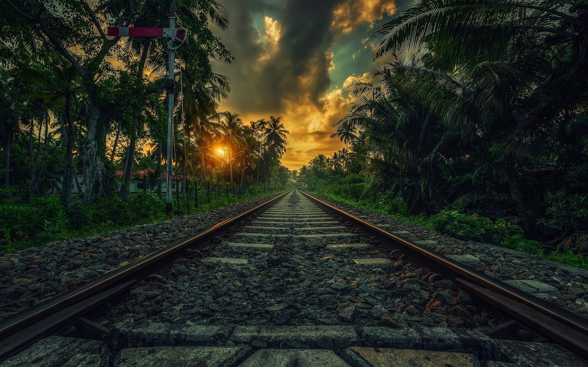 1920x1200 sri lanka nature road trees photography green wallpaper. Mocah HD Wallpaper