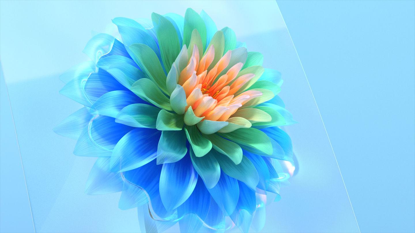 1440x810 Mesmerising Flower Wallpaper for VIVO. Final Frontier Tv