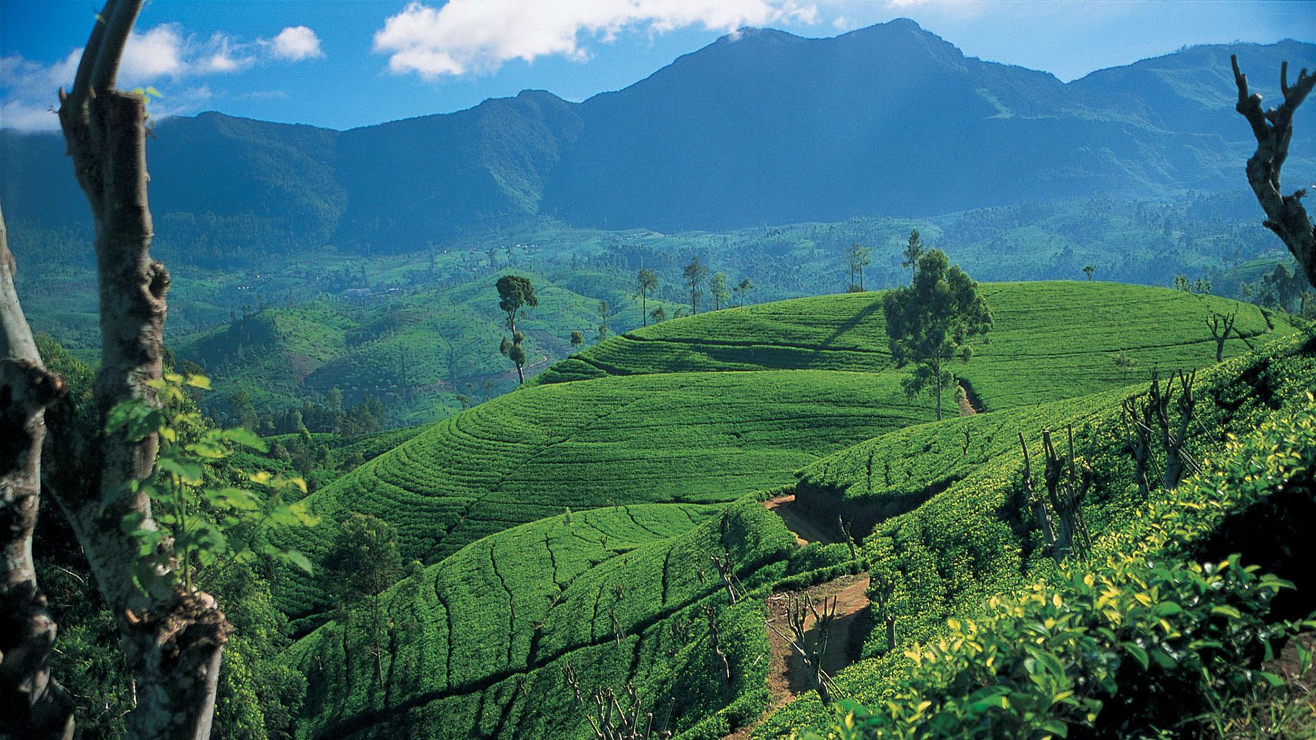 1920x1080 Sri Lanka Wallpaper