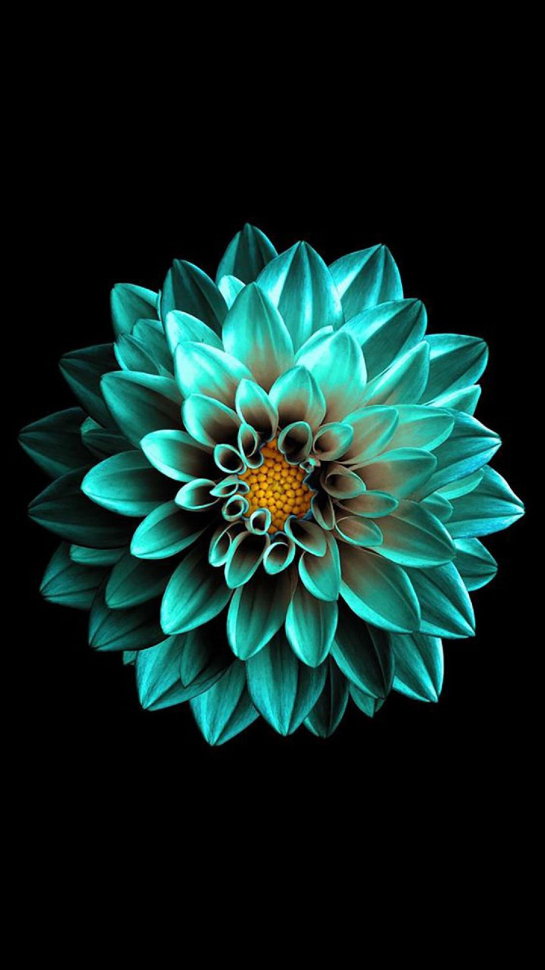 1080x1920 Flower Wallpaper S11 Usewallpaper Note 109 Green Green Dahlias