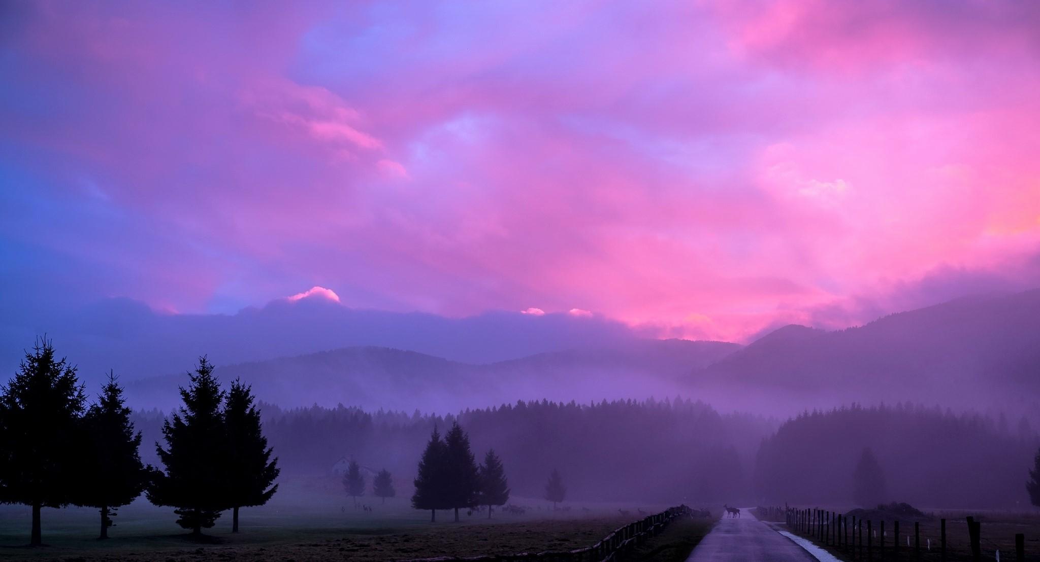 2048x1108 Misty Pink Sunset 1366x768 Resolution HD 4k Wallpaper, Image, Background, Photo and Picture