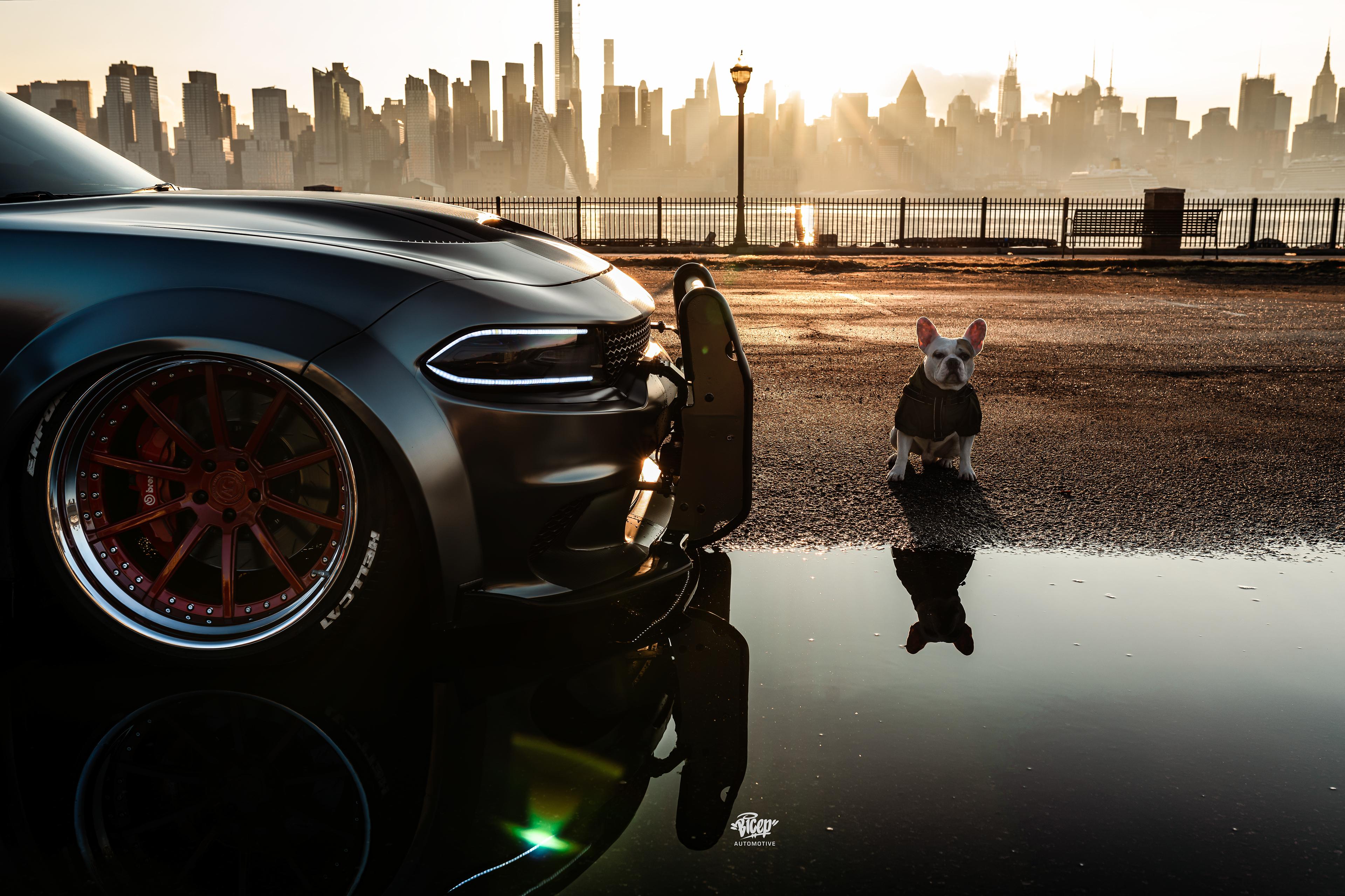 3840x2560 Wallpaper 4k Dodge Charger SRT Hellcat With Dog 4k Wallpaper