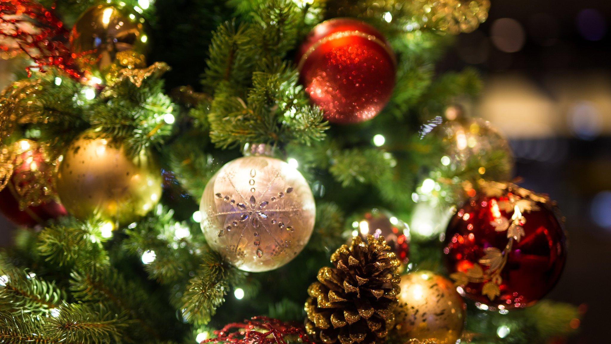 2048x1152 Why do we have Christmas trees?