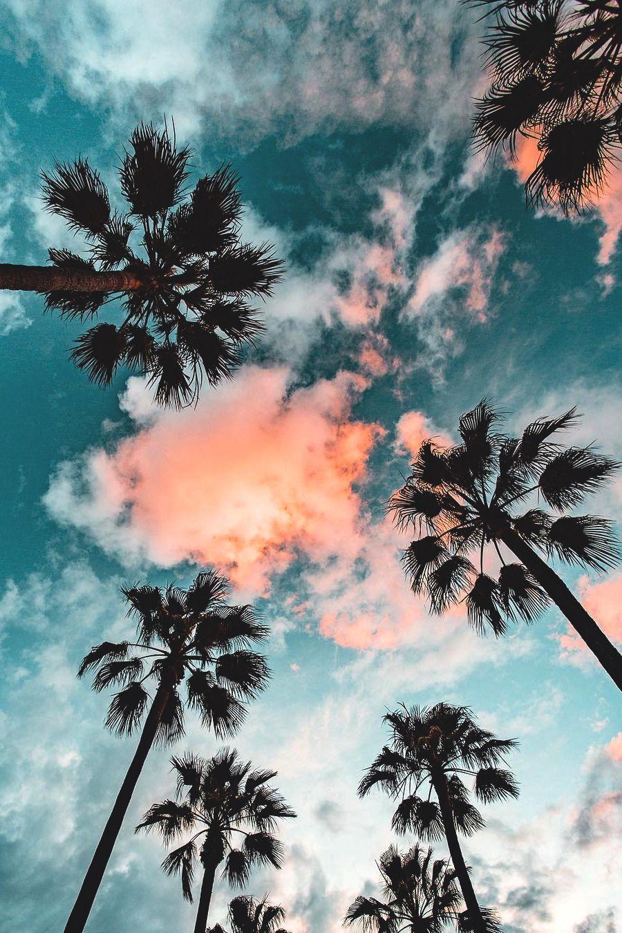 900x1350 Free download lsleofskye Long Beach California ryanlongnecker Junk Drawer [900x1350] for your Desktop, Mobile & Tablet. Explore Long Beach Wallpaper. Long Beach Wallpaper, Long Beach California Wallpaper, Wallpaper Long Beach CA