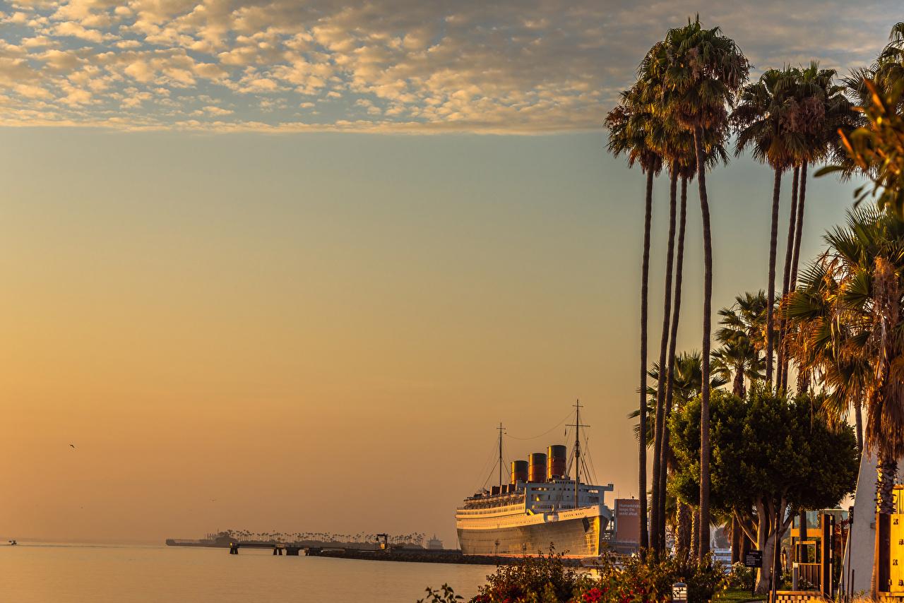 1280x854 image California USA Queen Mary Long Beach Nature ship palm trees