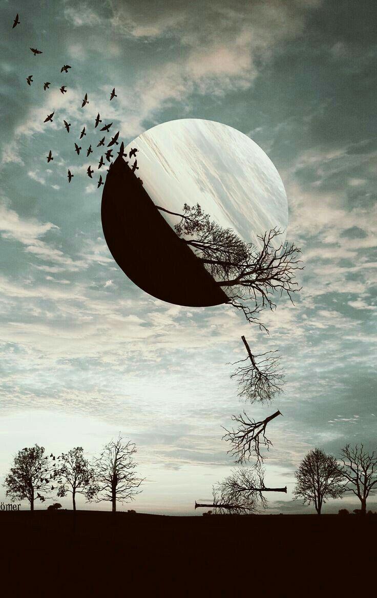 736x1168 Innovative. Nature photography, Photo art, Art