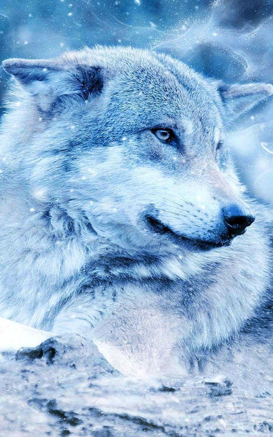 931x1490 Wolf 4k Wallpaper For Mobile HD Wolf HD Wallpaper For Mobile HD Wallpaper