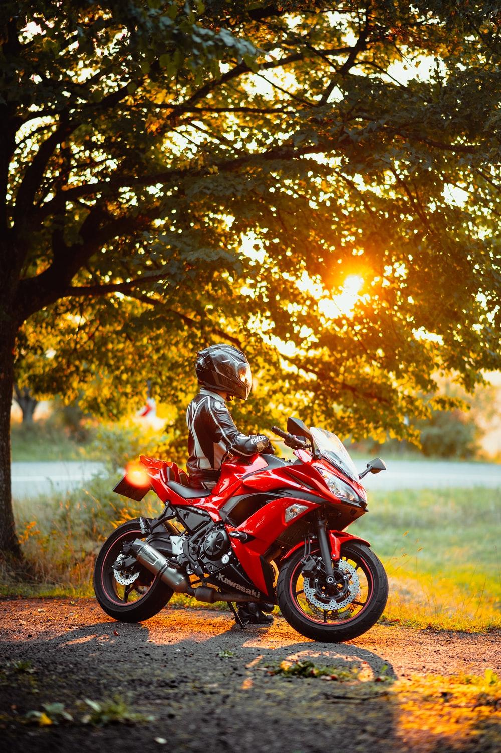 1000x1503 Best Free Motorcycle Picture