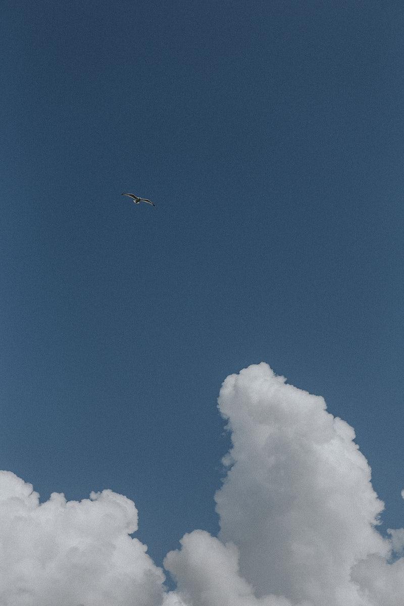 800x1200 Free Photo, PNG Stickers, Wallpaper & Background