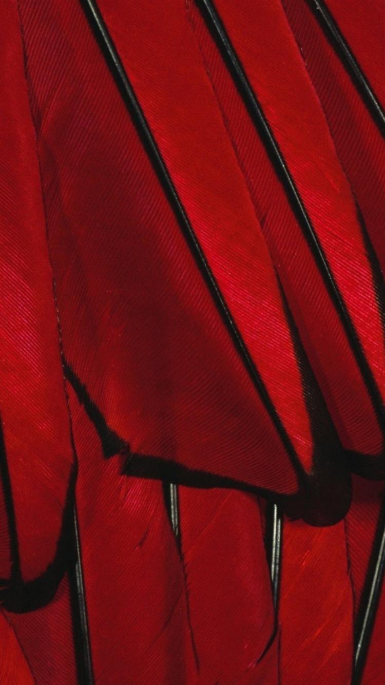 750x1334 Black Red Paint Color Feather iPhone 8 Wallpaper Free Download