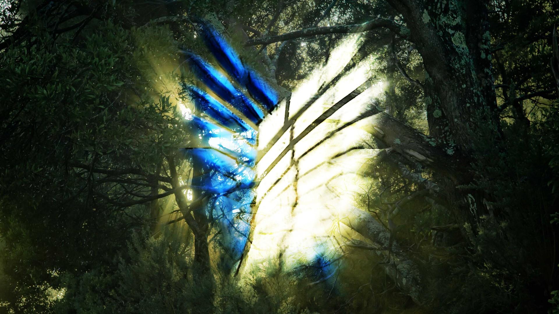 1920x1080 Attack On Titan Scouting Legion Wings Of Freedom With Background Of Trees And Sunbeam On Center HD Anime Wallpaper