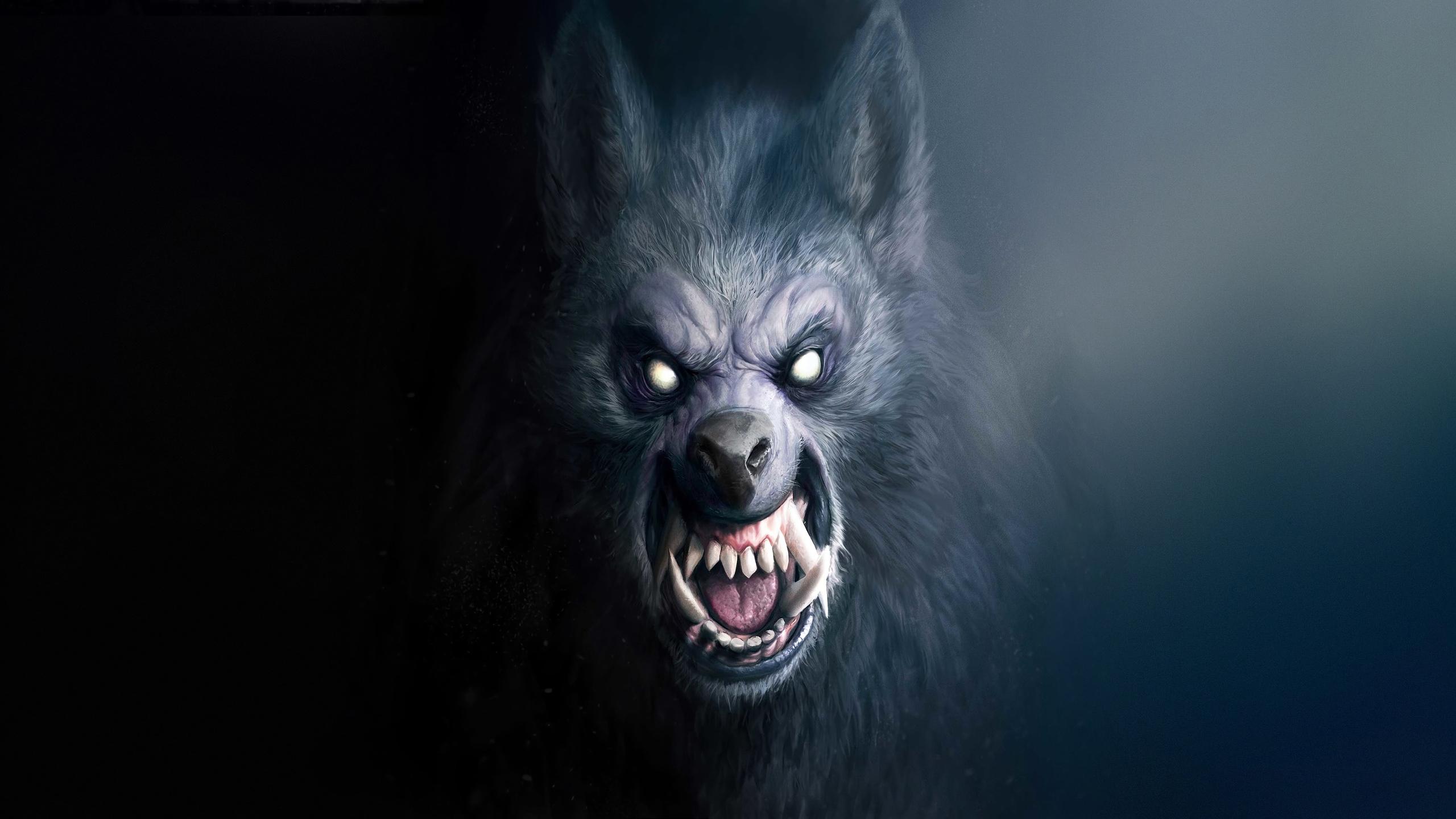2560x1440 Werewolf 4k 1440P Resolution HD 4k Wallpaper, Image, Background, Photo and Picture