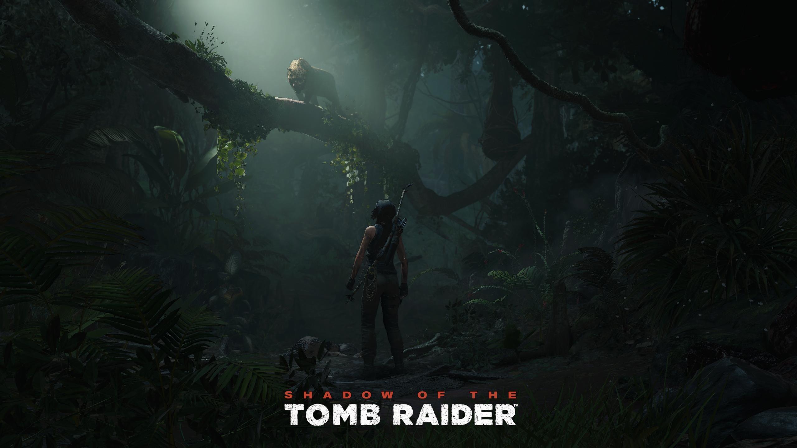 2560x1440 Tomb Raider, Lara Croft, video games, screen shot, Shadow of the Tomb Raider. Mocah HD Wallpaper
