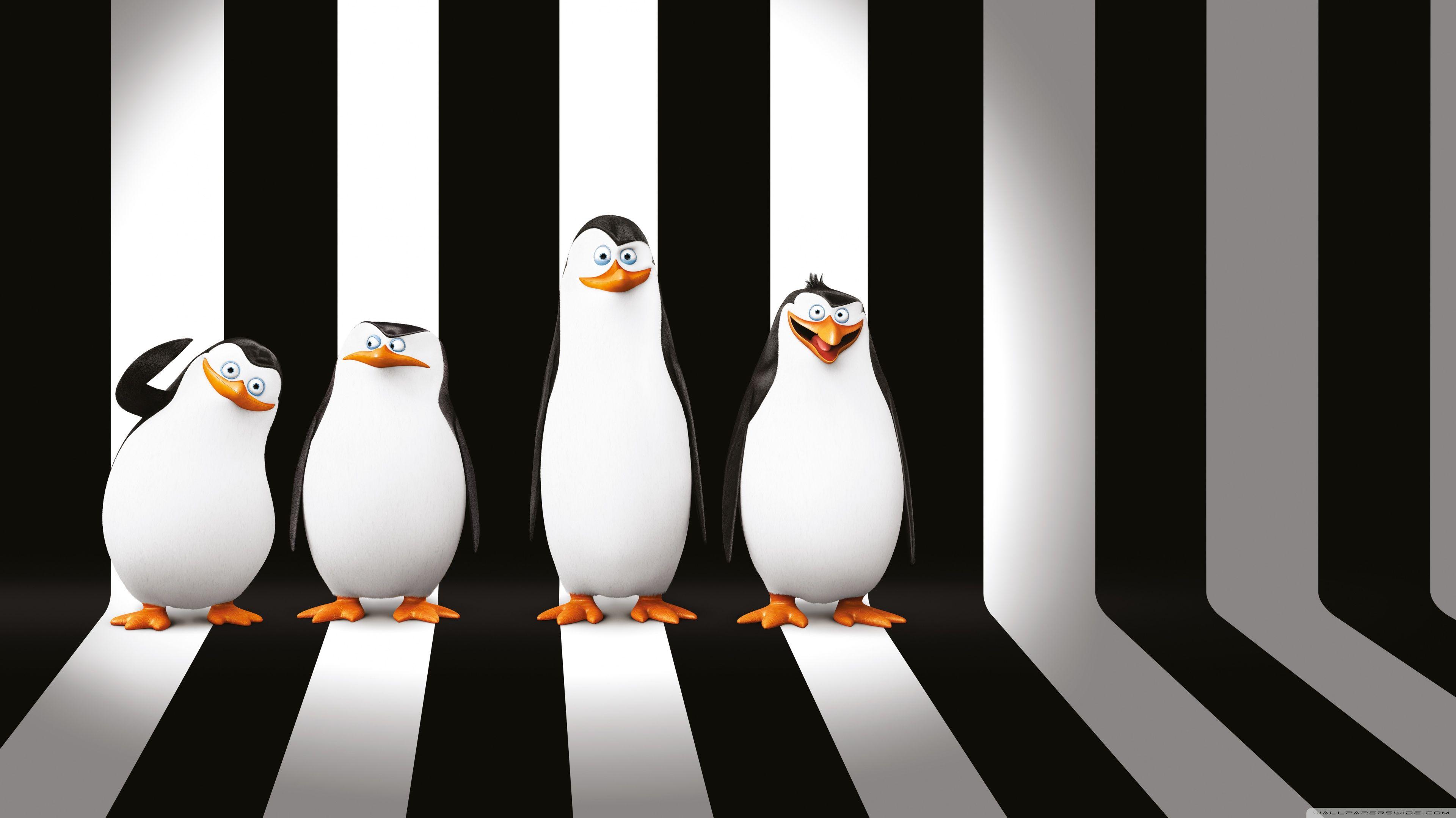 3840x2160 Penguins of Madagascar Movie ❤ 4K HD Desktop Wallpaper for 4K Ultra