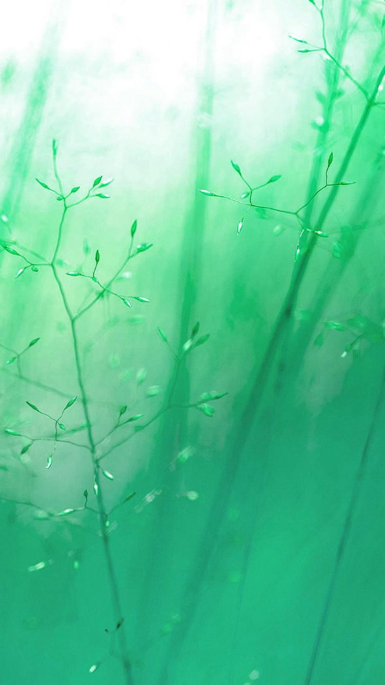 750x1334 Green Blue Reeds Soft Light iPhone 6 Wallpaper HD