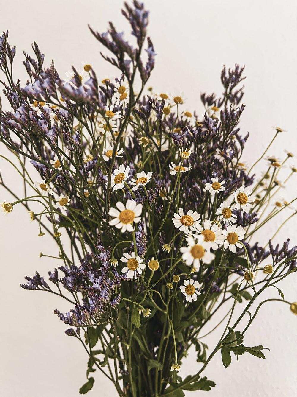 1000x1333 Vintage Flowers Picture. Download Free Image