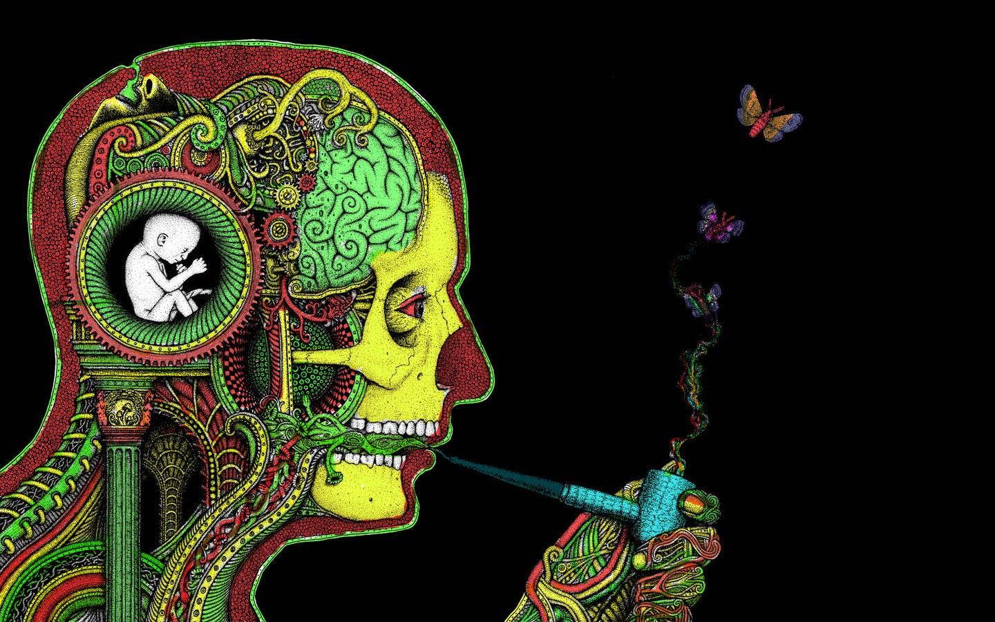 1440x900 #psychedelic, #skull, #smoking, #brain, #surreal, #drugs, #Rastafari, #pipes, #H. R. Giger, #face, #butterfly, #artwork, wallpaper HD Wallpaper