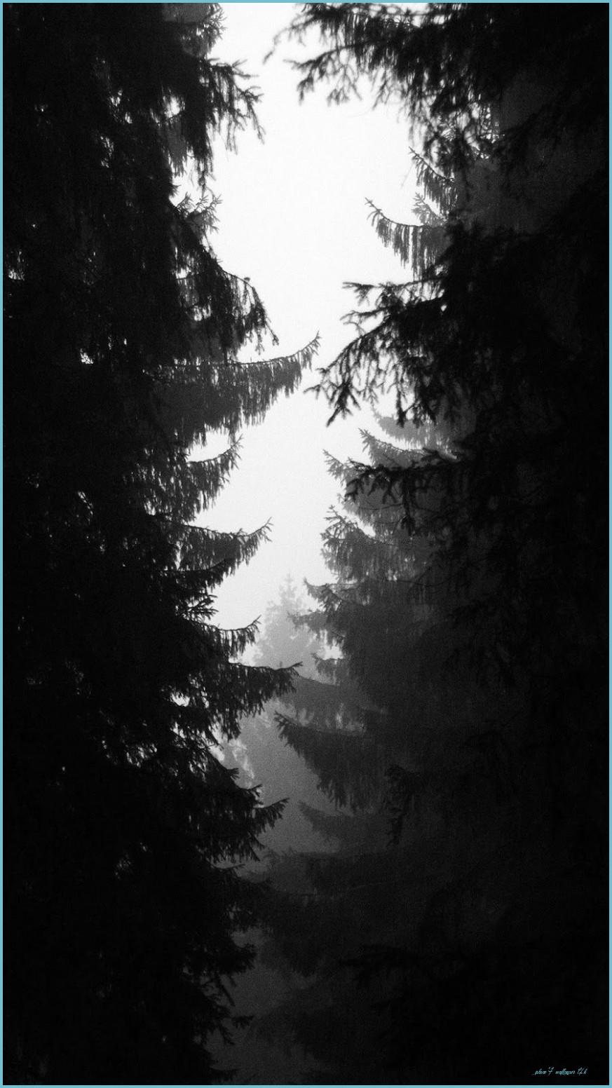 873x1552 12K IPhone Wallpaper Top Free 12K IPhone Background 7 Wallpaper 4k