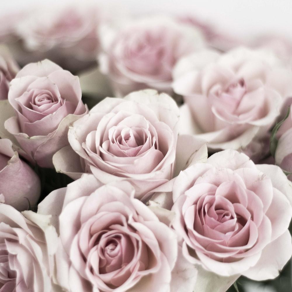 1000x1000 Girly Wallpaper: Free HD Download [HQ]