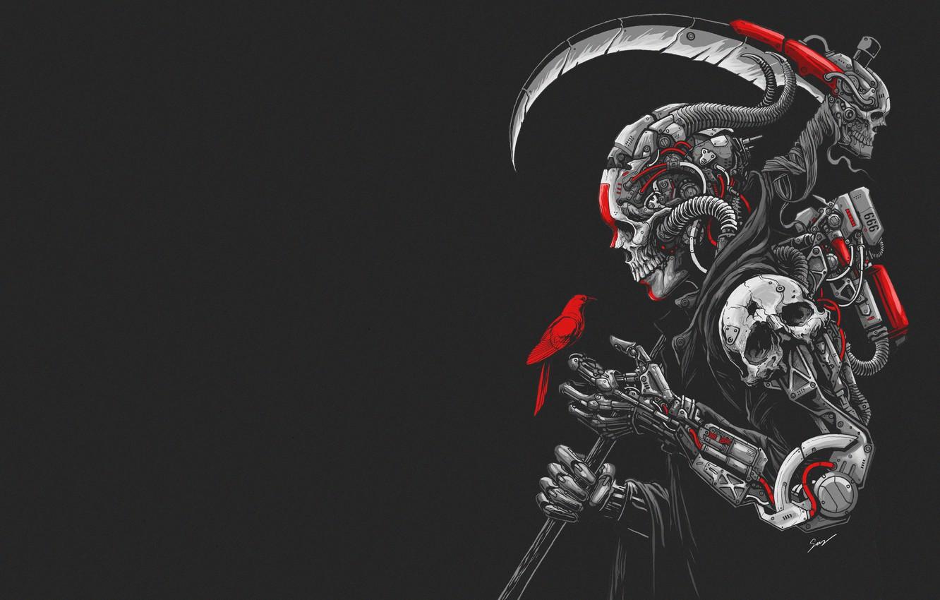 1332x850 Free download Wallpaper Minimalism Skull Robot Bird Braid Art Cyborg [1332x850] for your Desktop, Mobile & Tablet. Explore Cyborg Wallpaper. Cyborg Wallpaper, Cyborg Logo Wallpaper, Cyborg Teen Titans Go Wallpaper