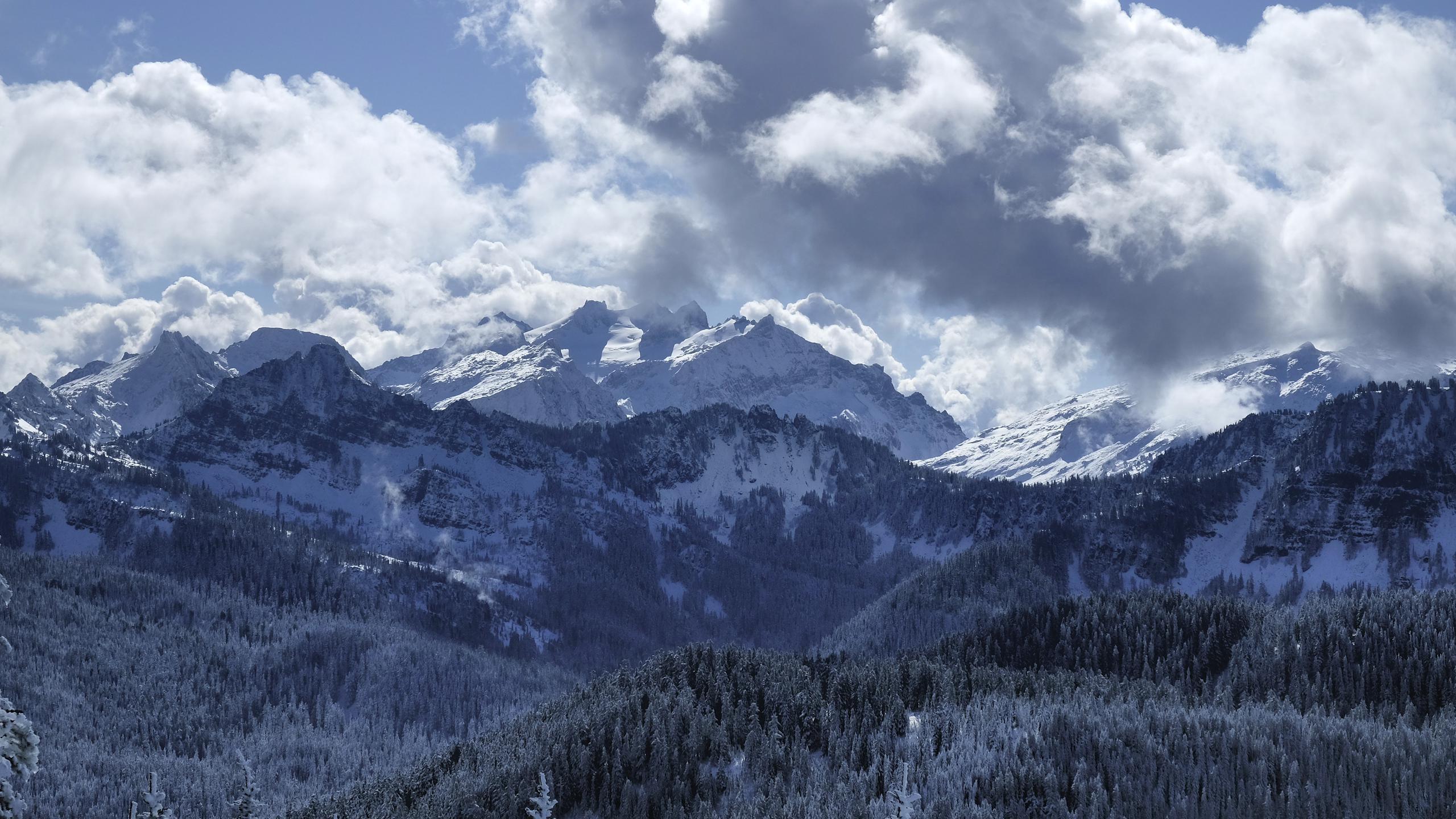 2560x1440 Wilderness 4K wallpaper for your desktop or mobile screen free and easy to download