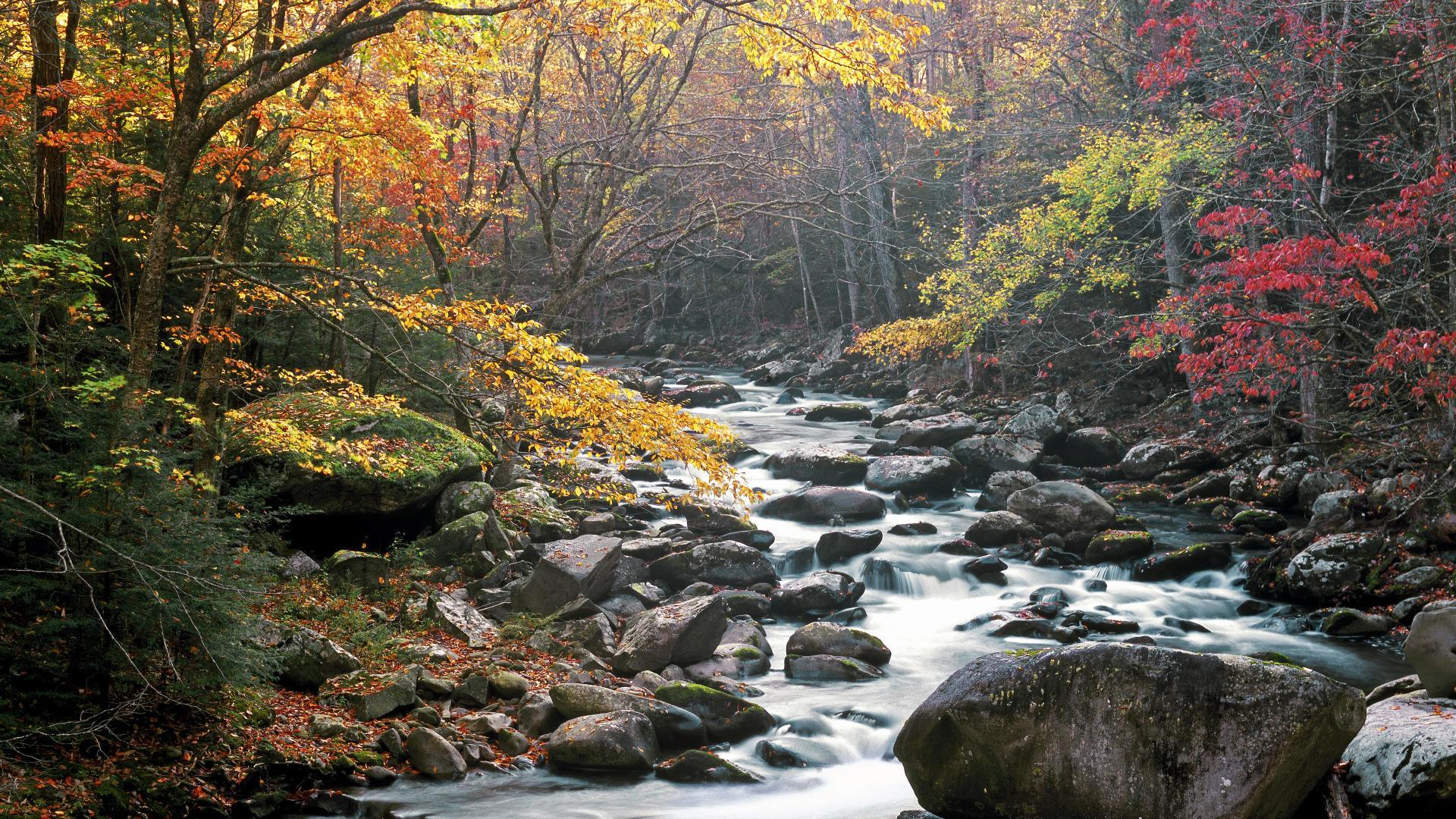 1920x1080 Free download 45] Smoky Mountains Spring Wallpaper [1920x1080] for your Desktop, Mobile & Tablet. Explore Smokies Background. Smokies Background