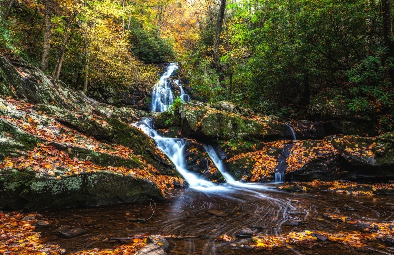 1300x842 Nature Smoky Mountains National Park Gray Smoki Mauntins Park Tennessee Autumn Forest Waterfall Rock Trees Landscape Hd Wallpaper LYgj 1300×0 MM 100